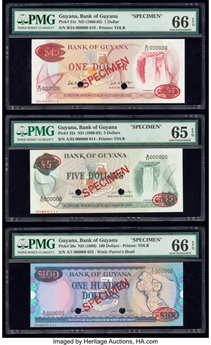 image for: Guyana 1 dollar (B101a)