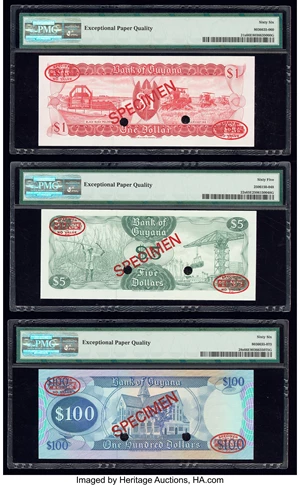 image for: Guyana 1 dollar (B101a)