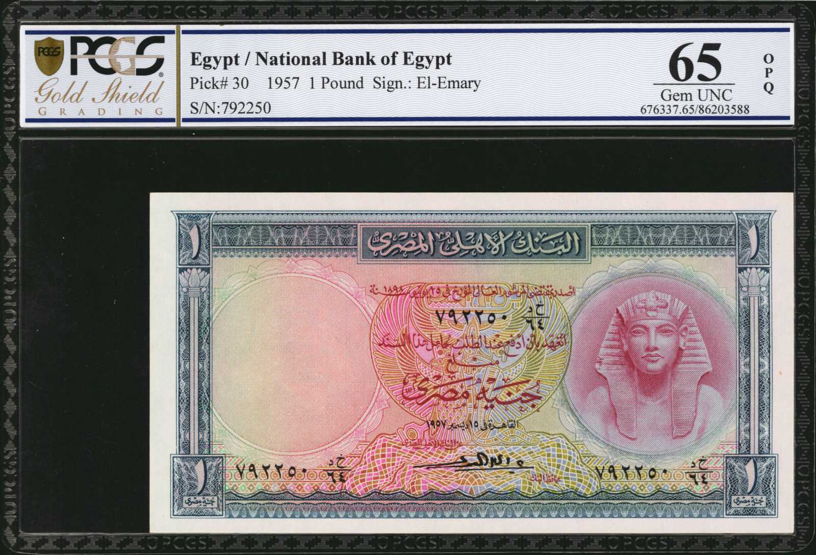image for: Egypt  100 pounds (B319as1)