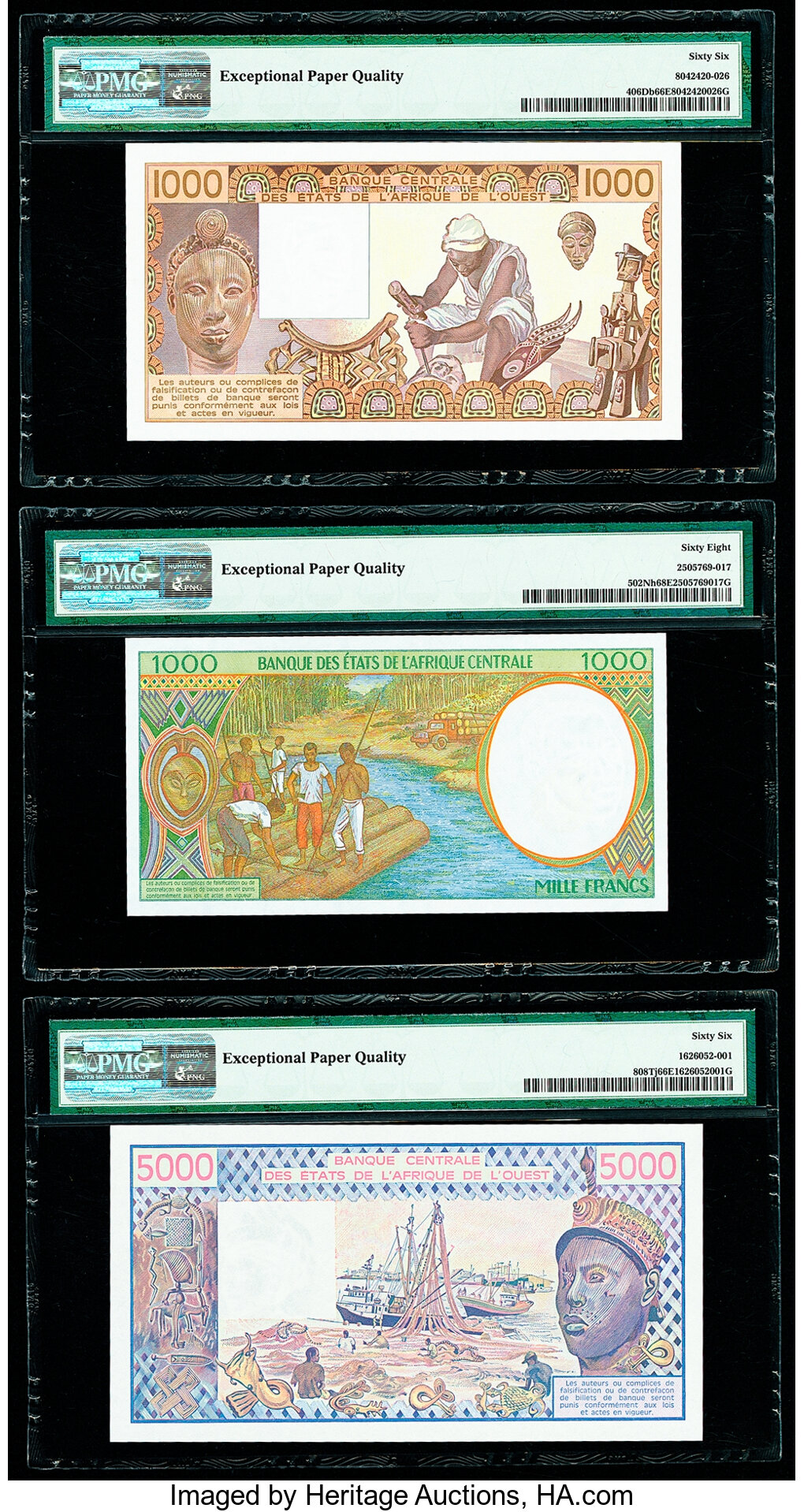 image for: West African States  5,000 francs (B113Tf)