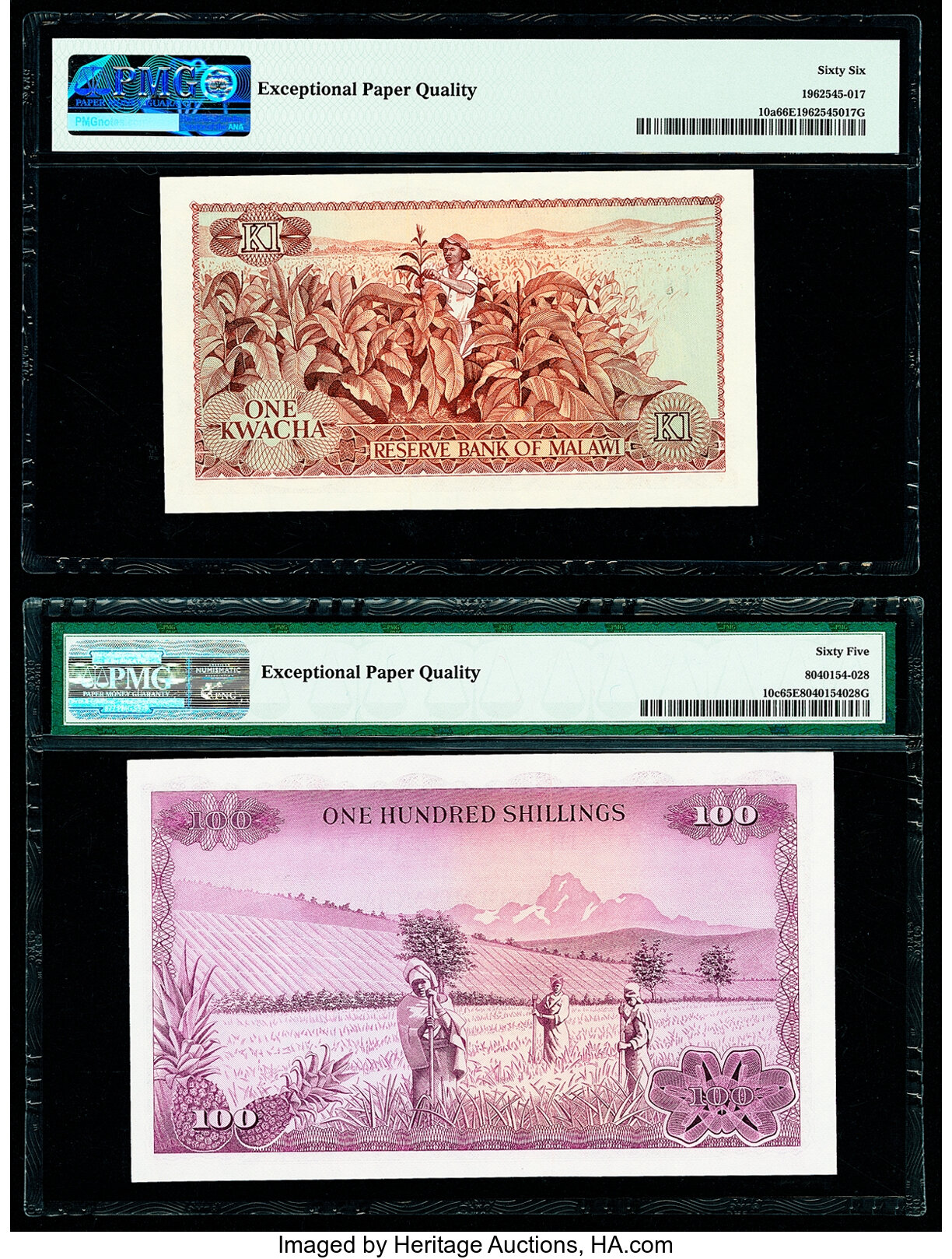 image for: Kenya  100 shillings (B110s)