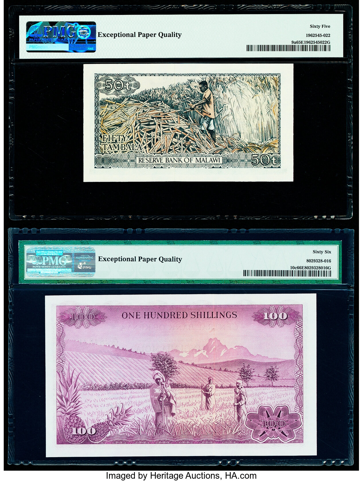 image for: Malawi  50 tambala(B109c)