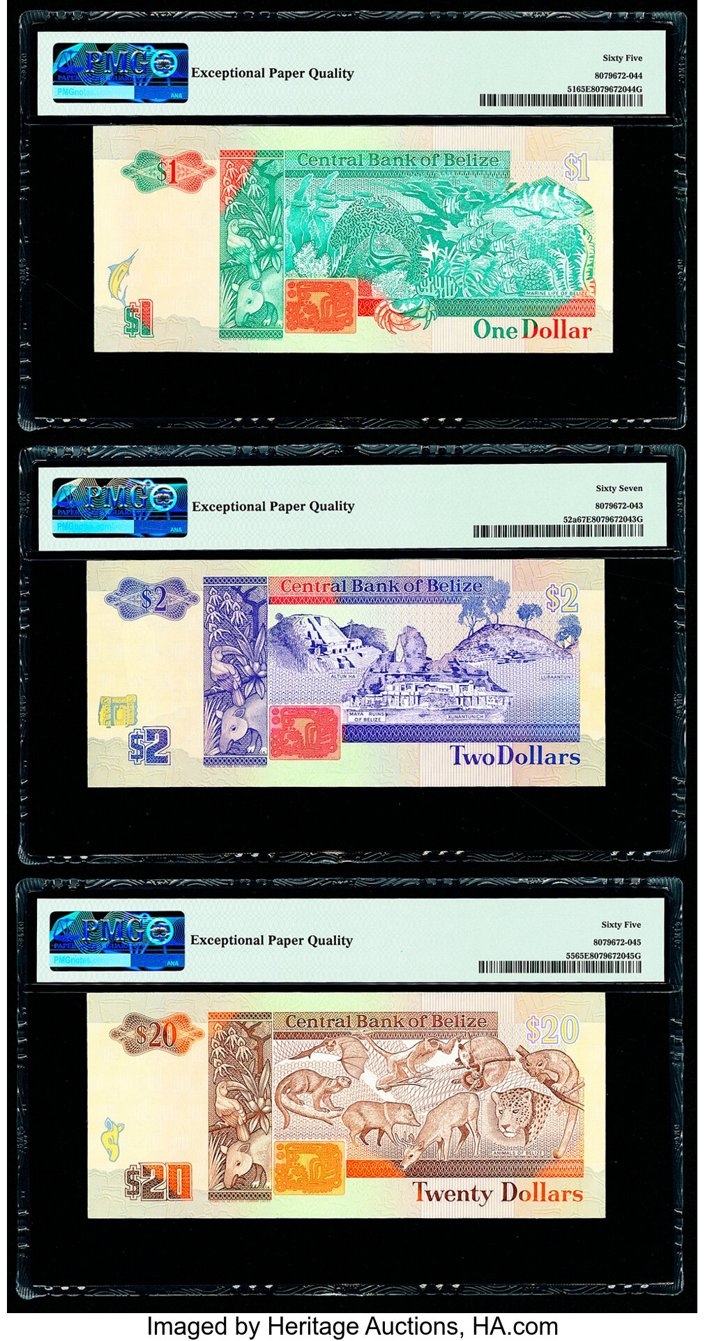 image for: Belize  20 dollars (B313a)