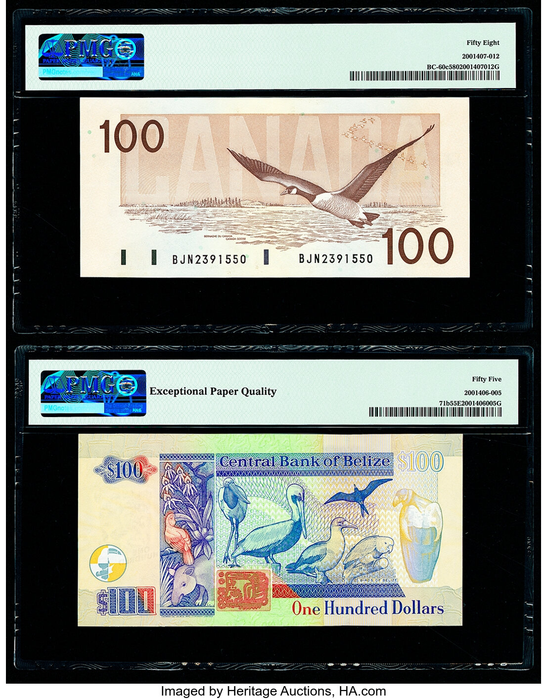 image for: Belize  100 dollars (B329z)