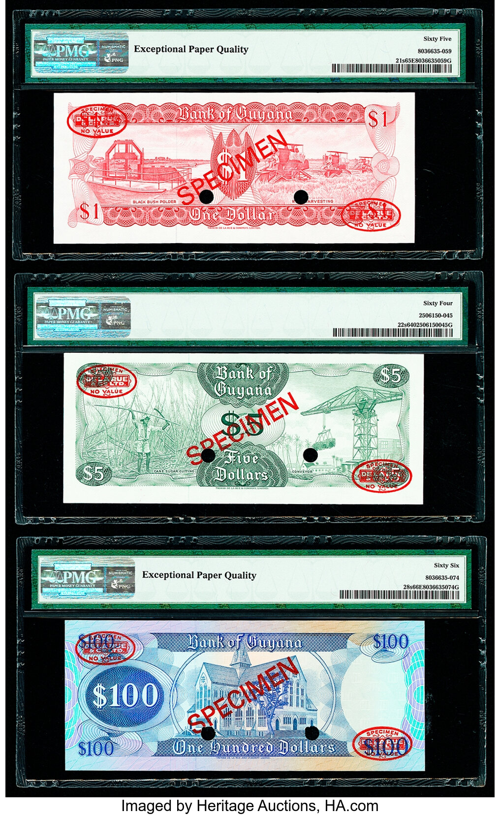 image for: Guyana  1 dollar (B101cs2)