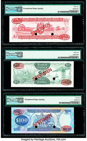 image for: Guyana 1 dollar (B101a)