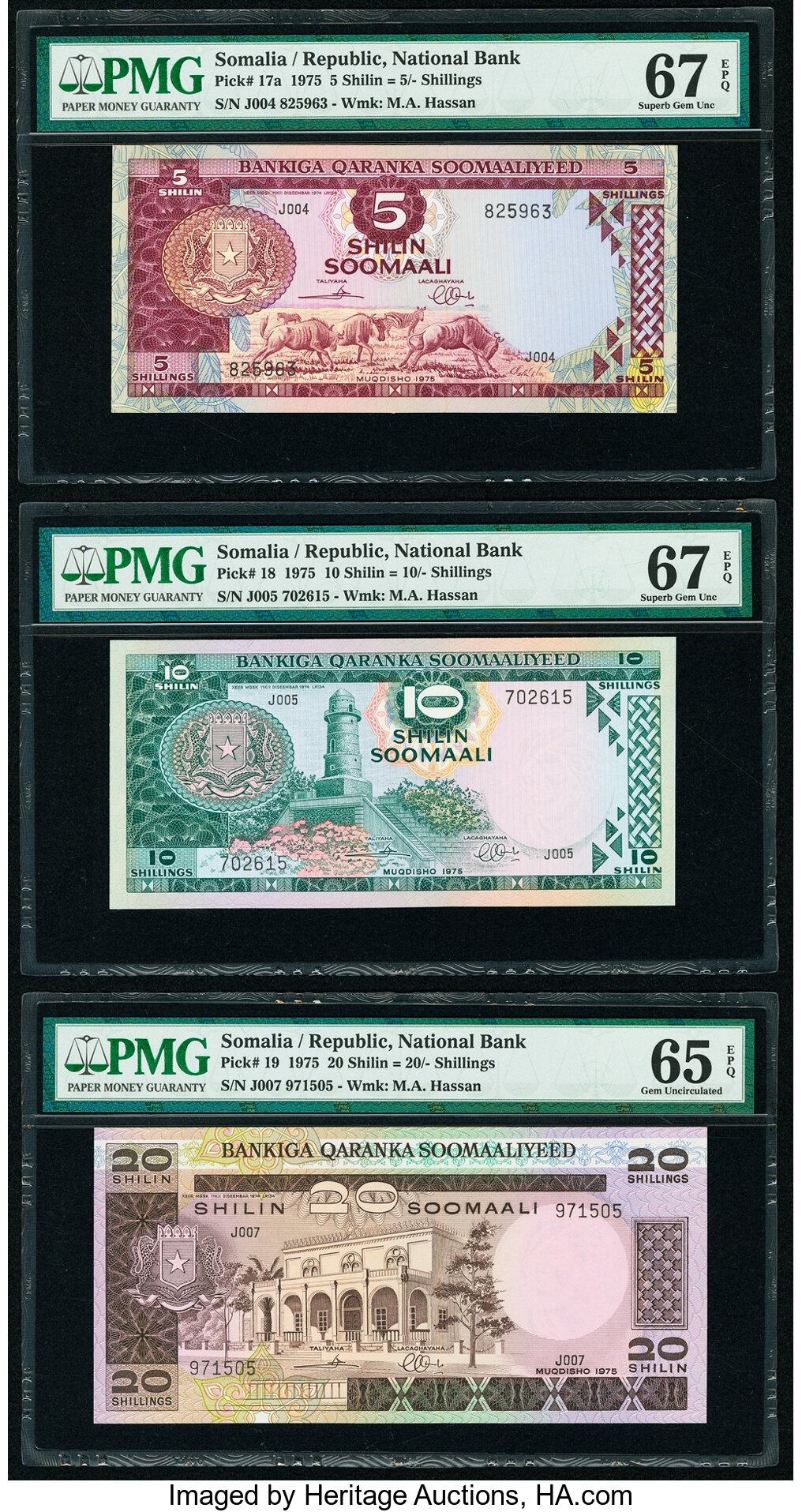 image for: Somalia  5 shillings (B201az)