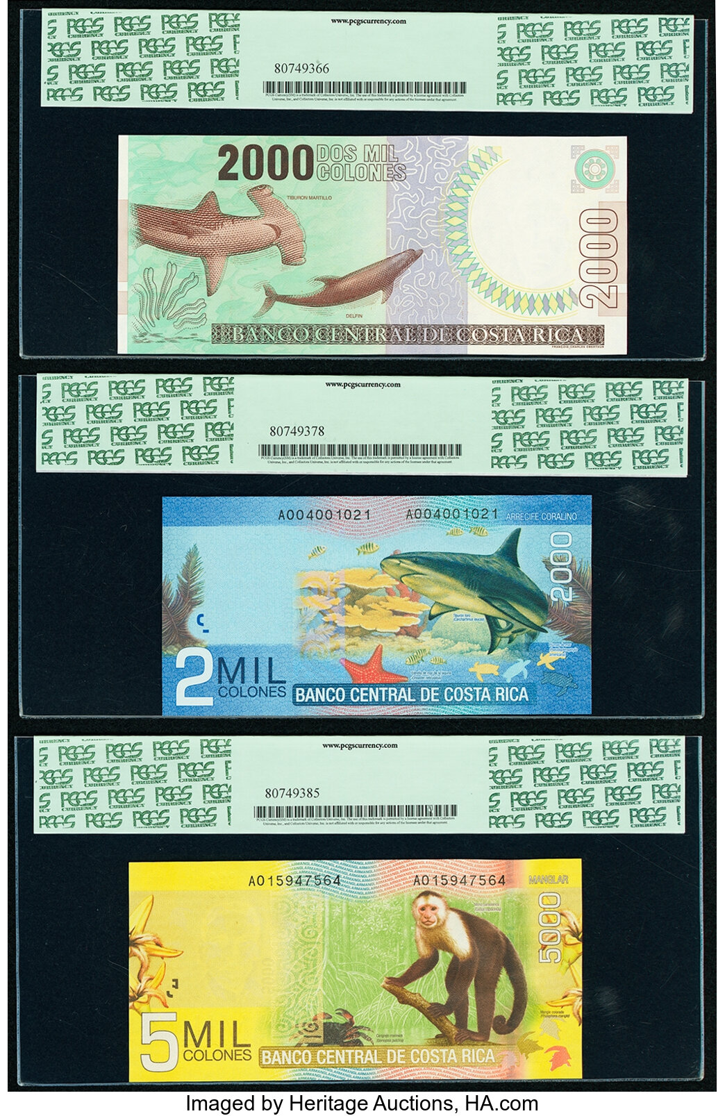 image for: Costa Rica  5,000 colones (B560b)