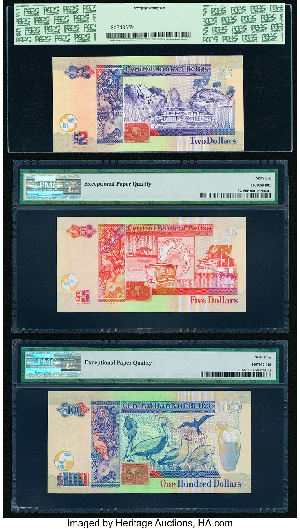 image for: Belize  100 dollars (B329d)