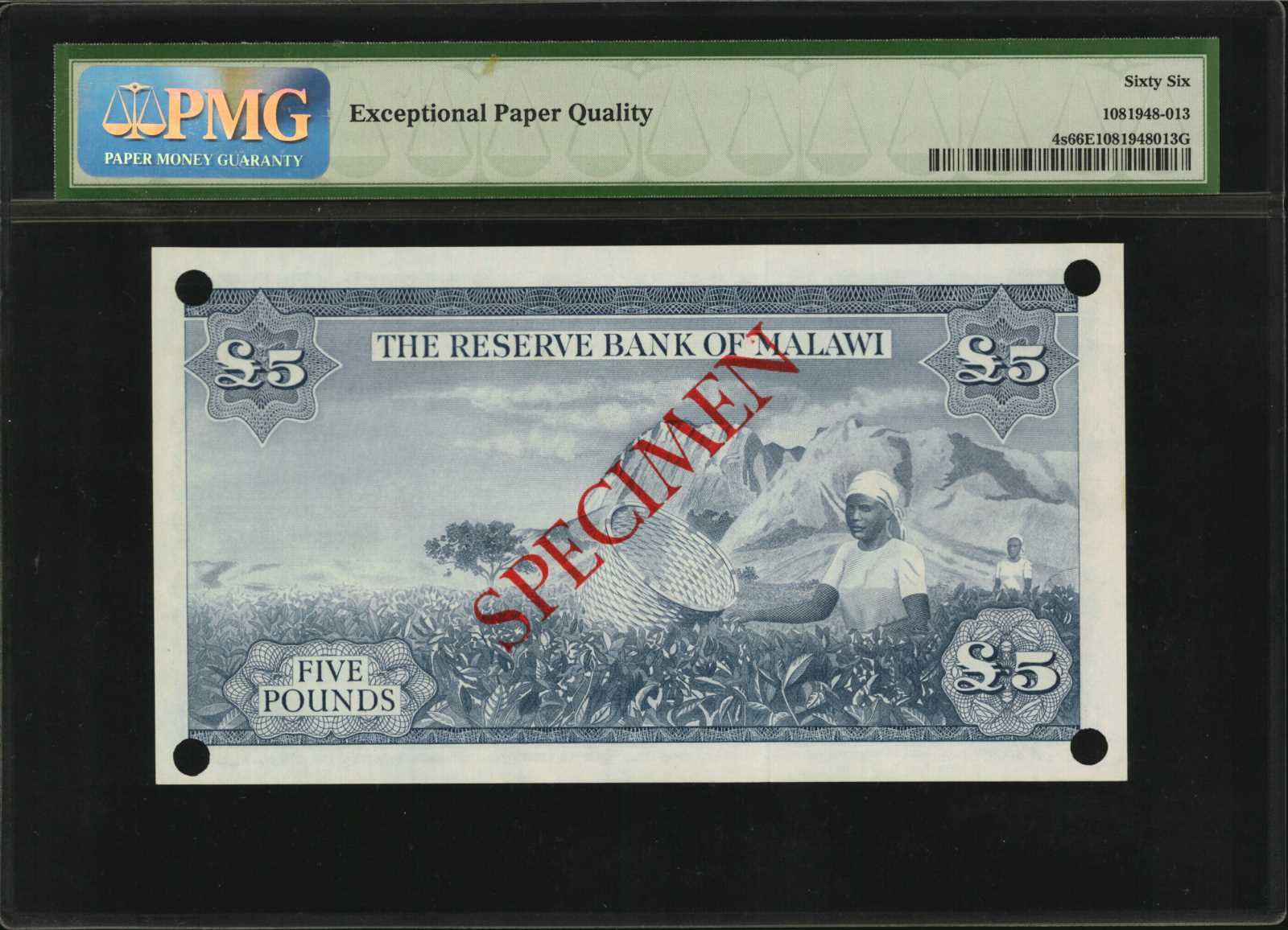 image for: Malawi  5 pounds(B104a)