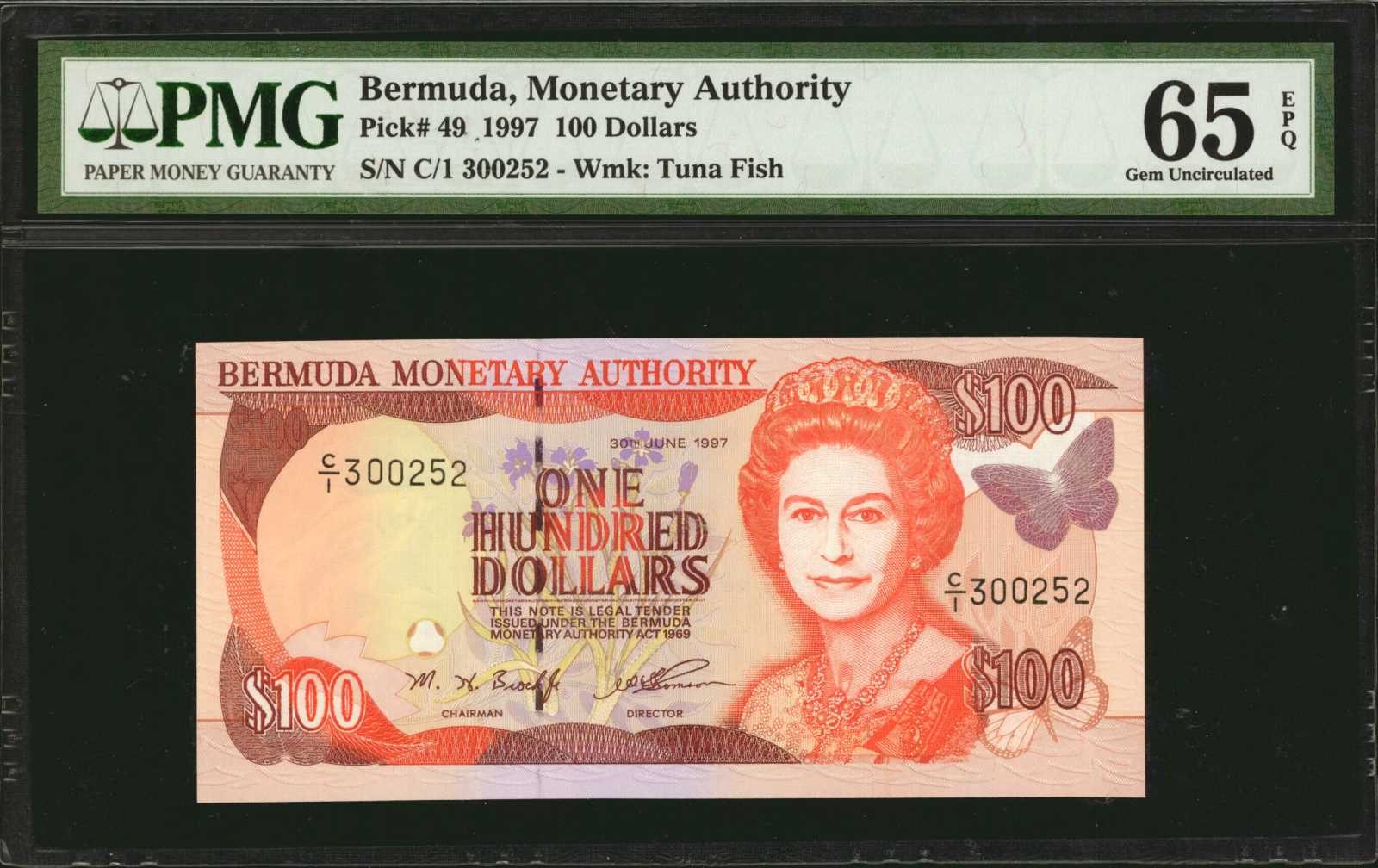 image for: Bermuda  100 dollars (B221b)