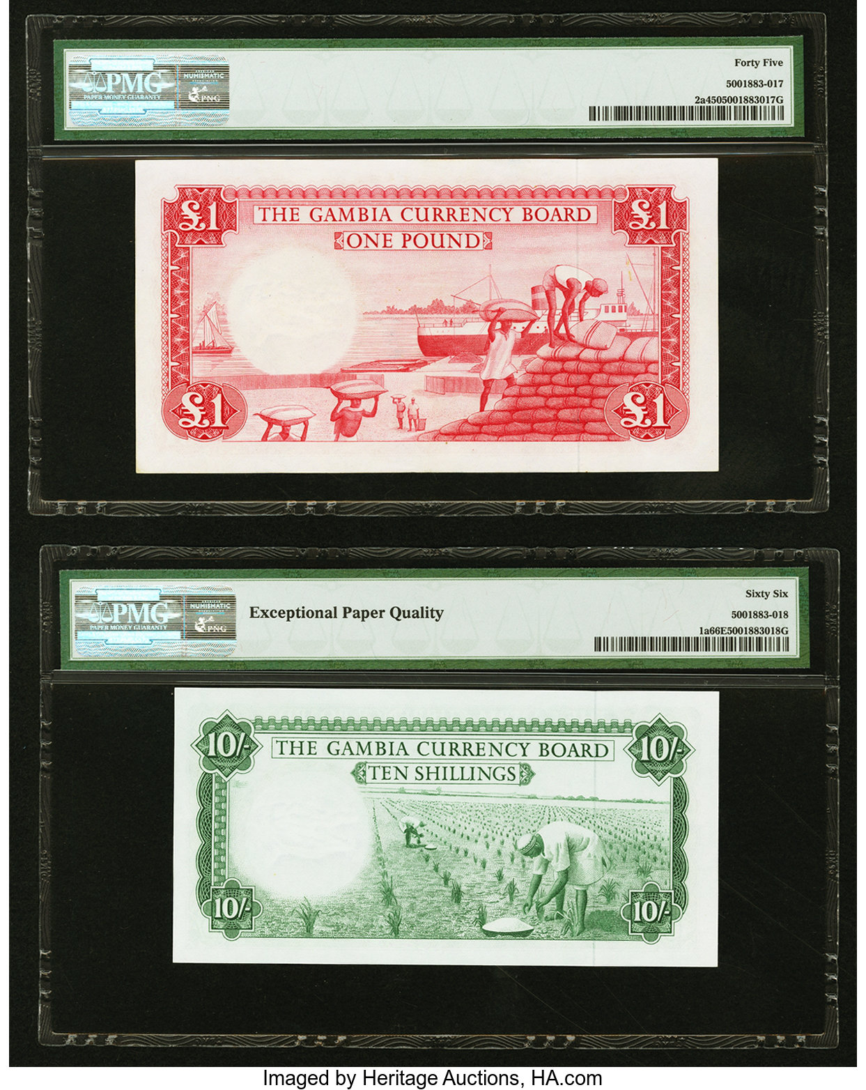 image for: Gambia  1 pound(B102a)