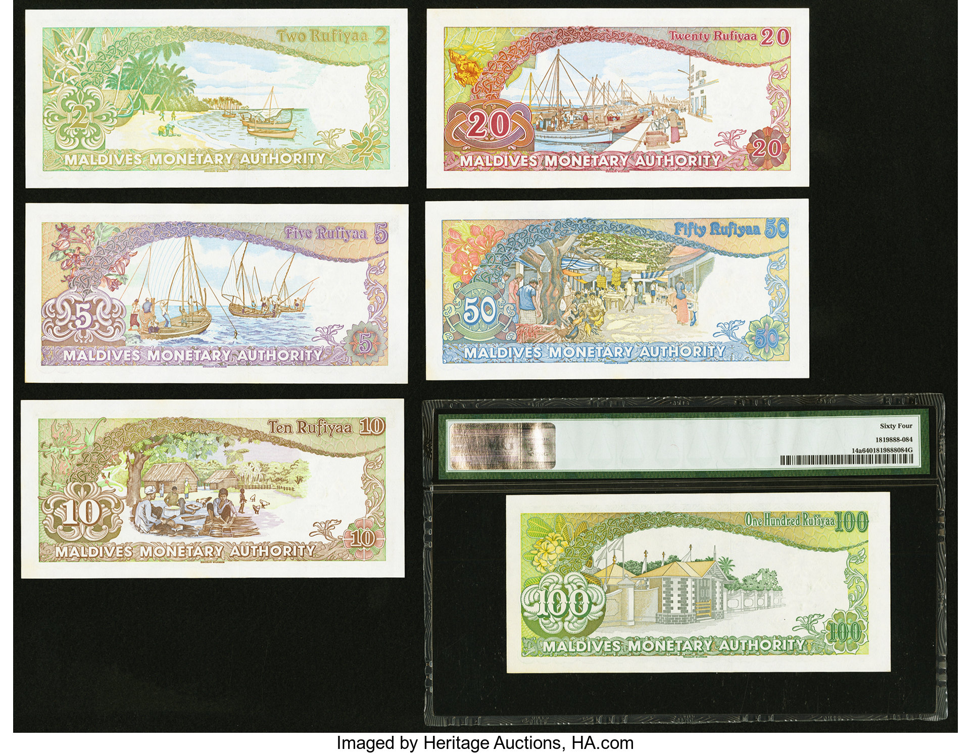 image for: Maldives  100 rufiyaa (B206bs)