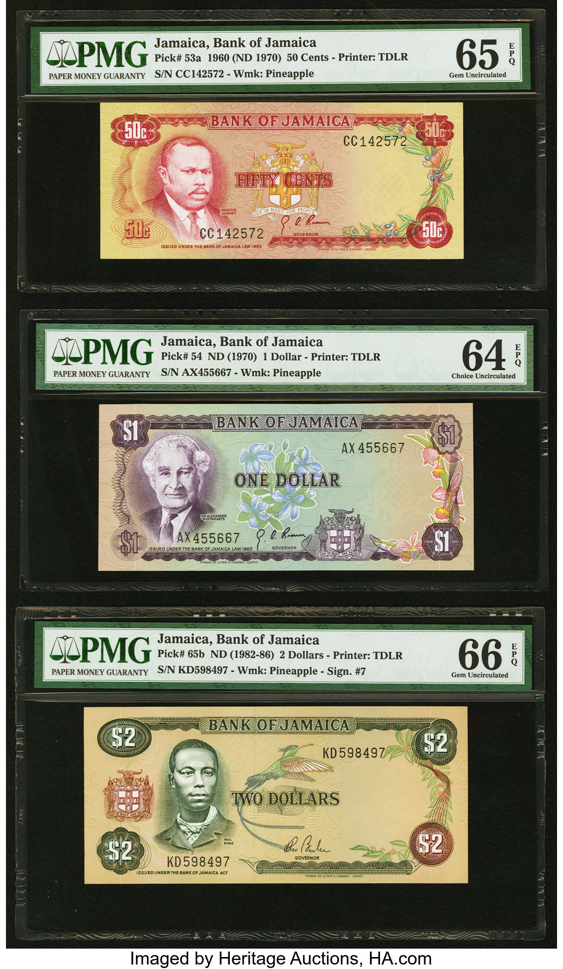 image for: Jamaica  100 dollars (B230b)