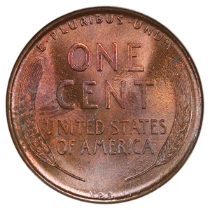 image for: 1909 VDB 1c NGC MS66 BN