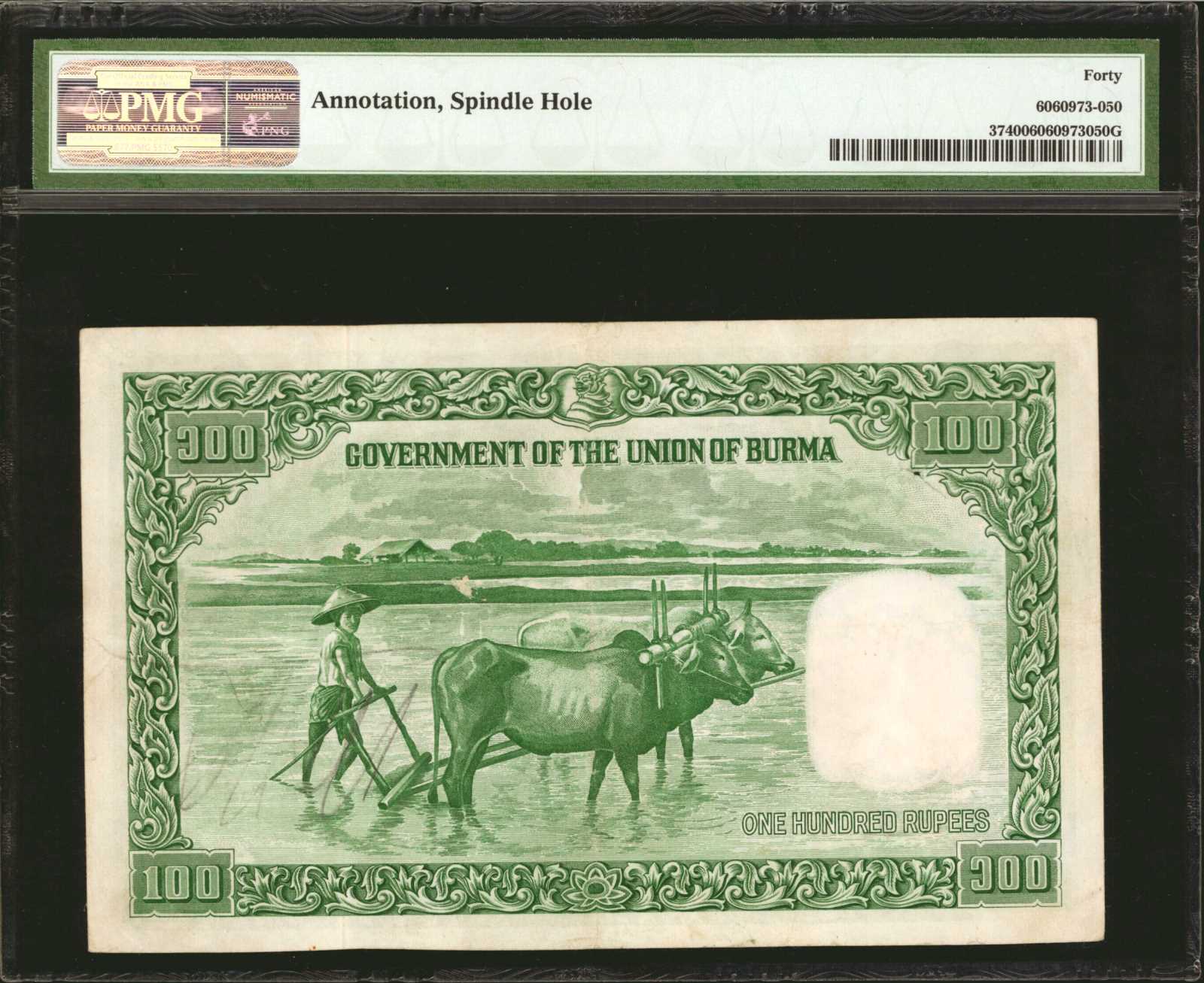 image for: Burma  100 rupees (B704ar)