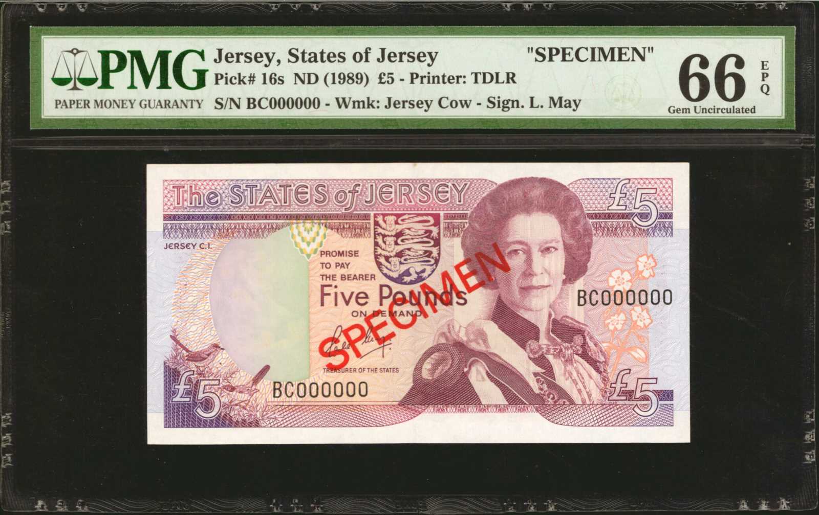 image for: Jersey  20 pounds (B118as)