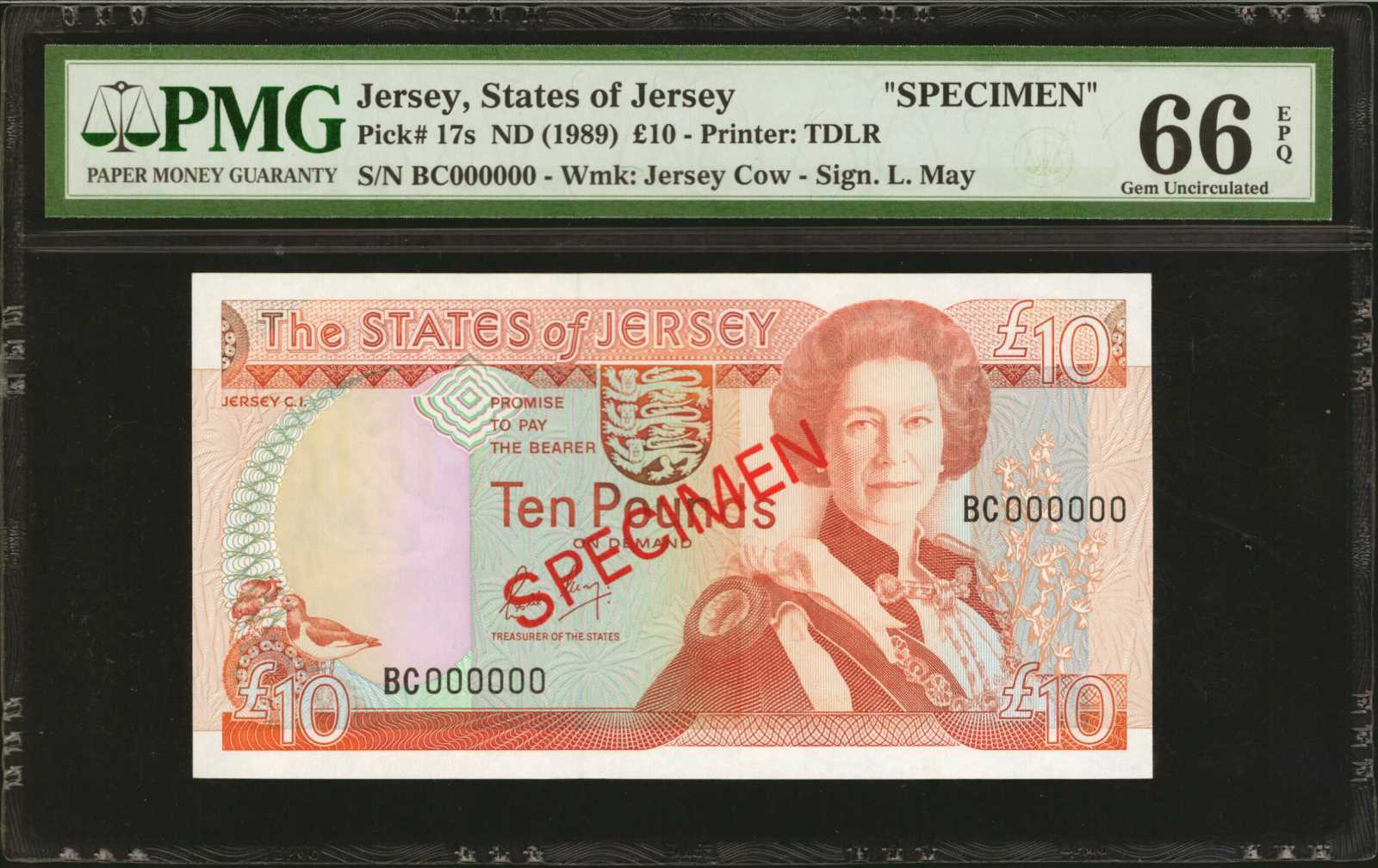 image for: Jersey  20 pounds (B118as)