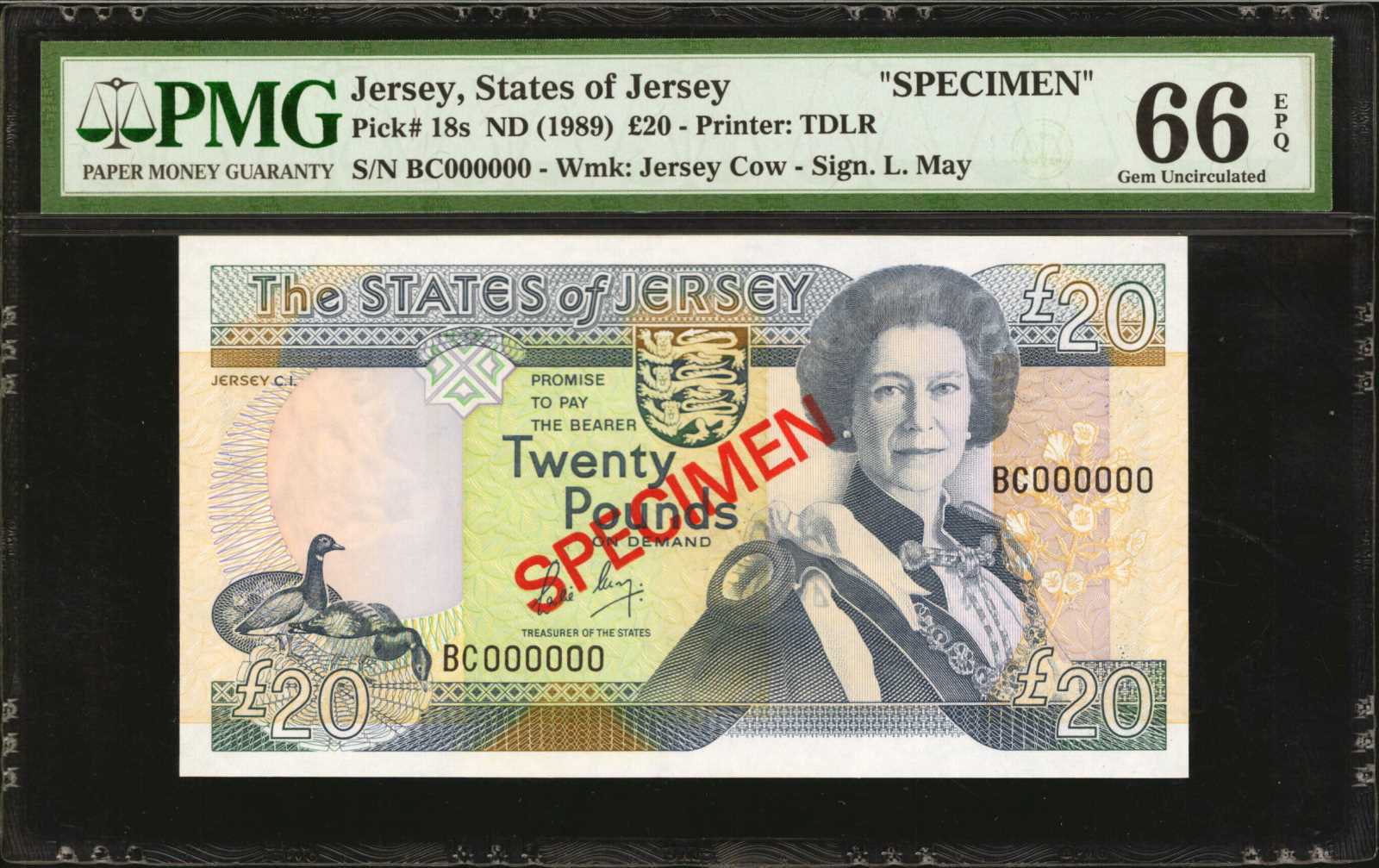 image for: Jersey  20 pounds (B118as)