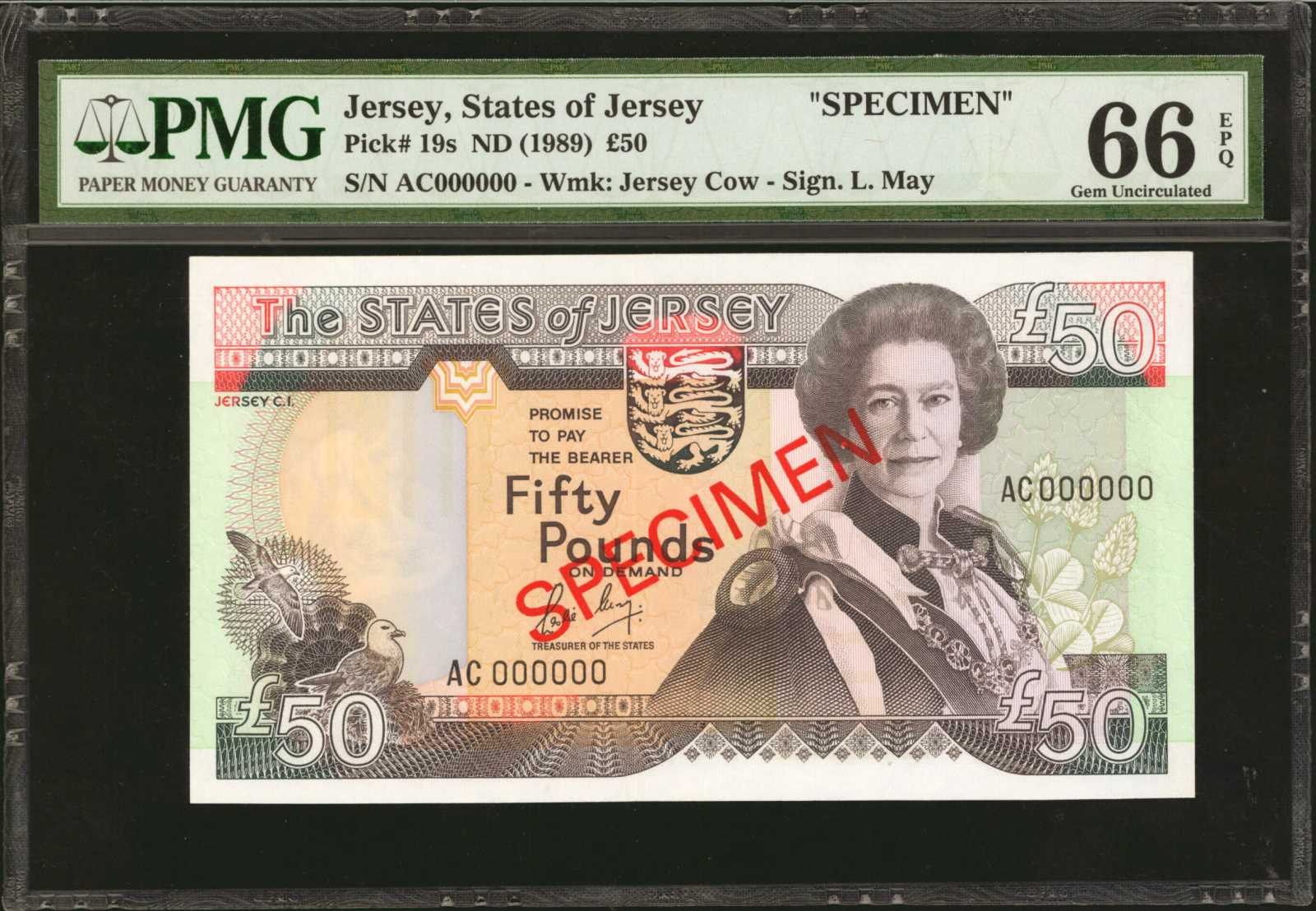 image for: Jersey  20 pounds (B118as)
