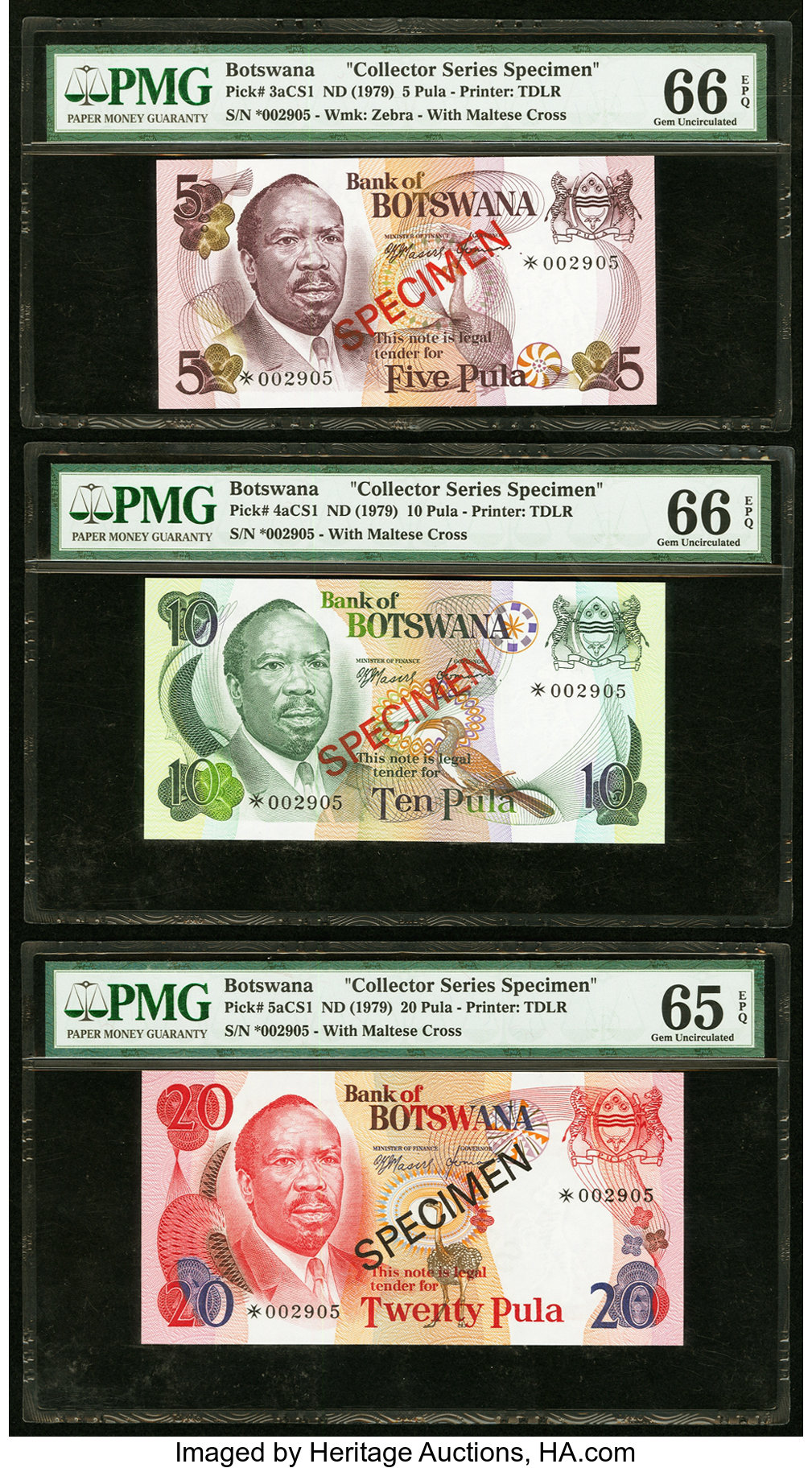 image for: Botswana  10 pula (B104z)