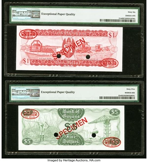 image for: Guyana 1 dollar (B101a)
