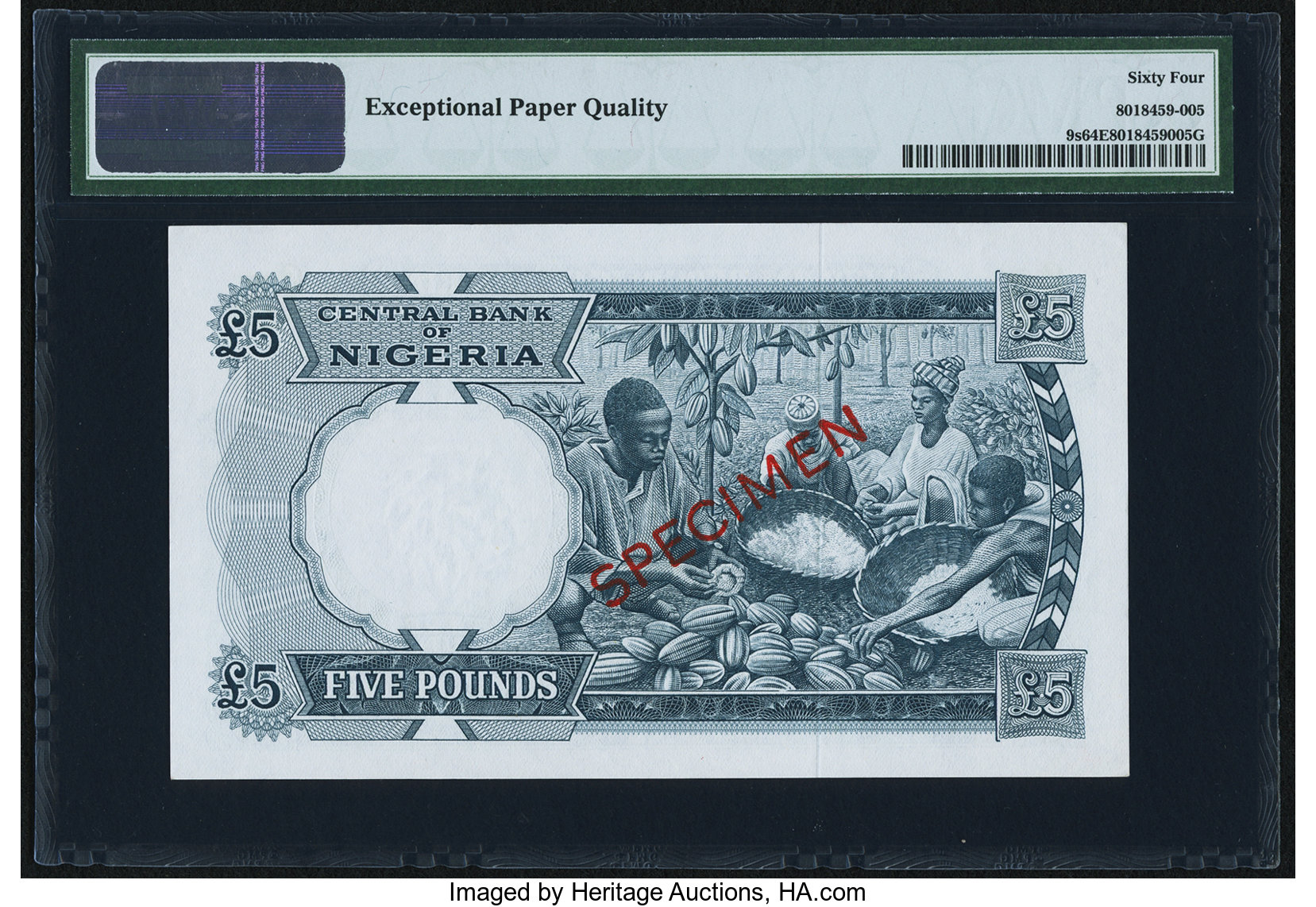 image for: Nigeria  5 pounds (B208as4)