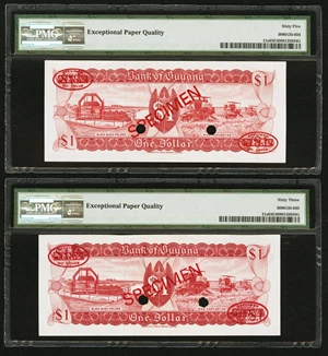 image for: Guyana 1 dollar (B101a)