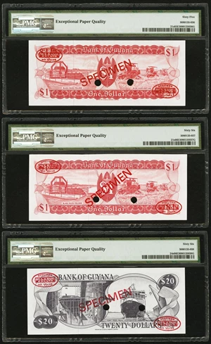 image for: Guyana 1 dollar (B101a)