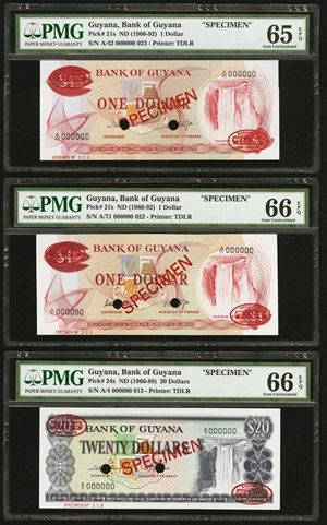 image for: Guyana 1 dollar (B101a)