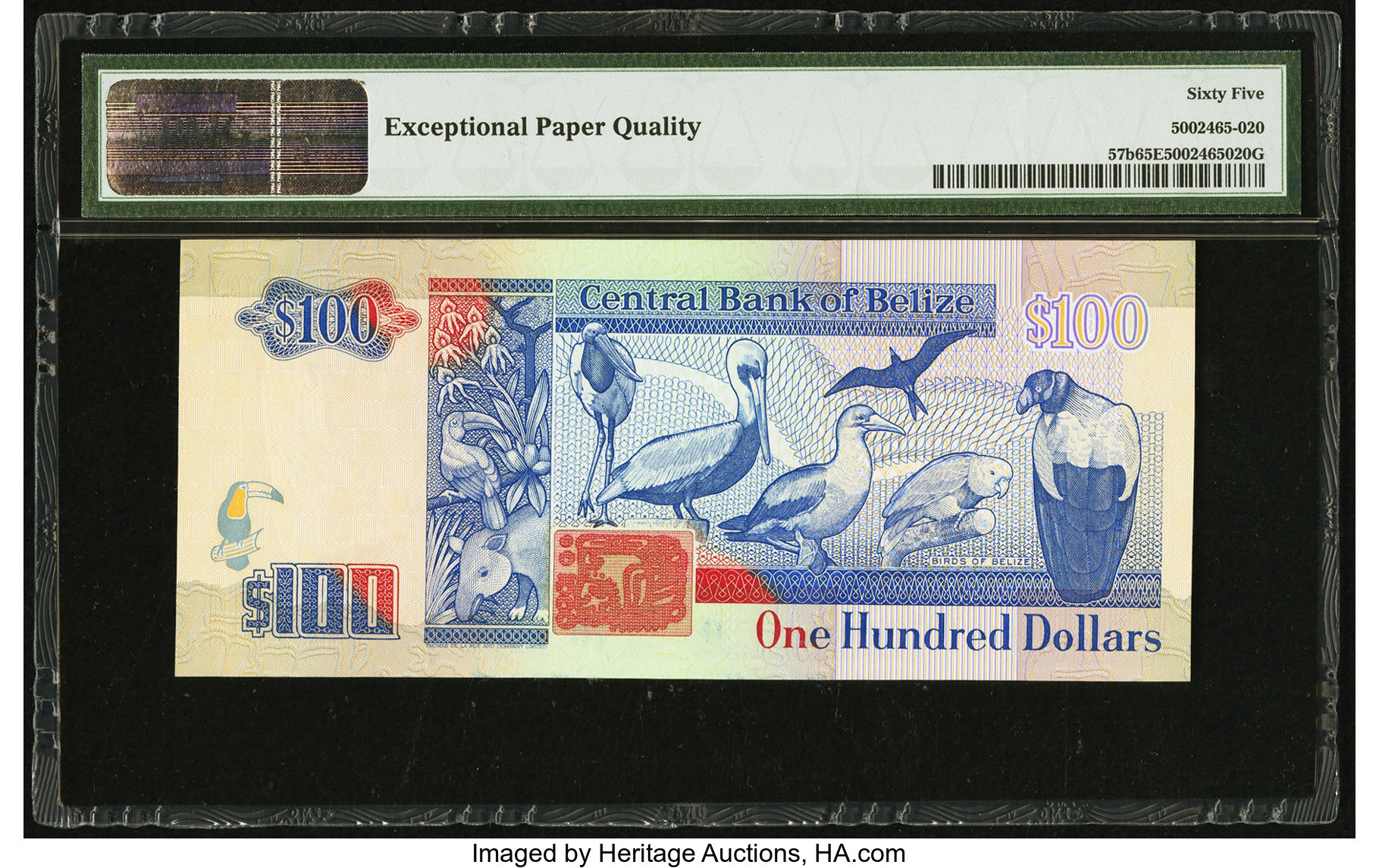 image for: Belize  100 dollars (B315a)