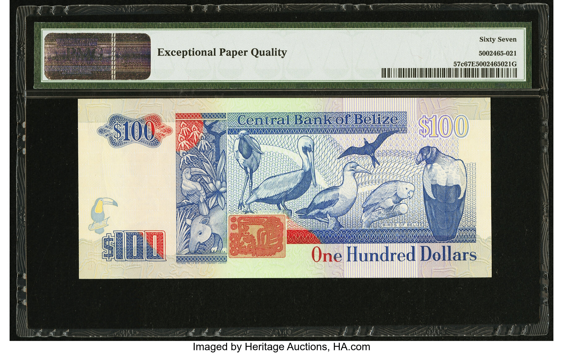 image for: Belize  100 dollars (B315a)