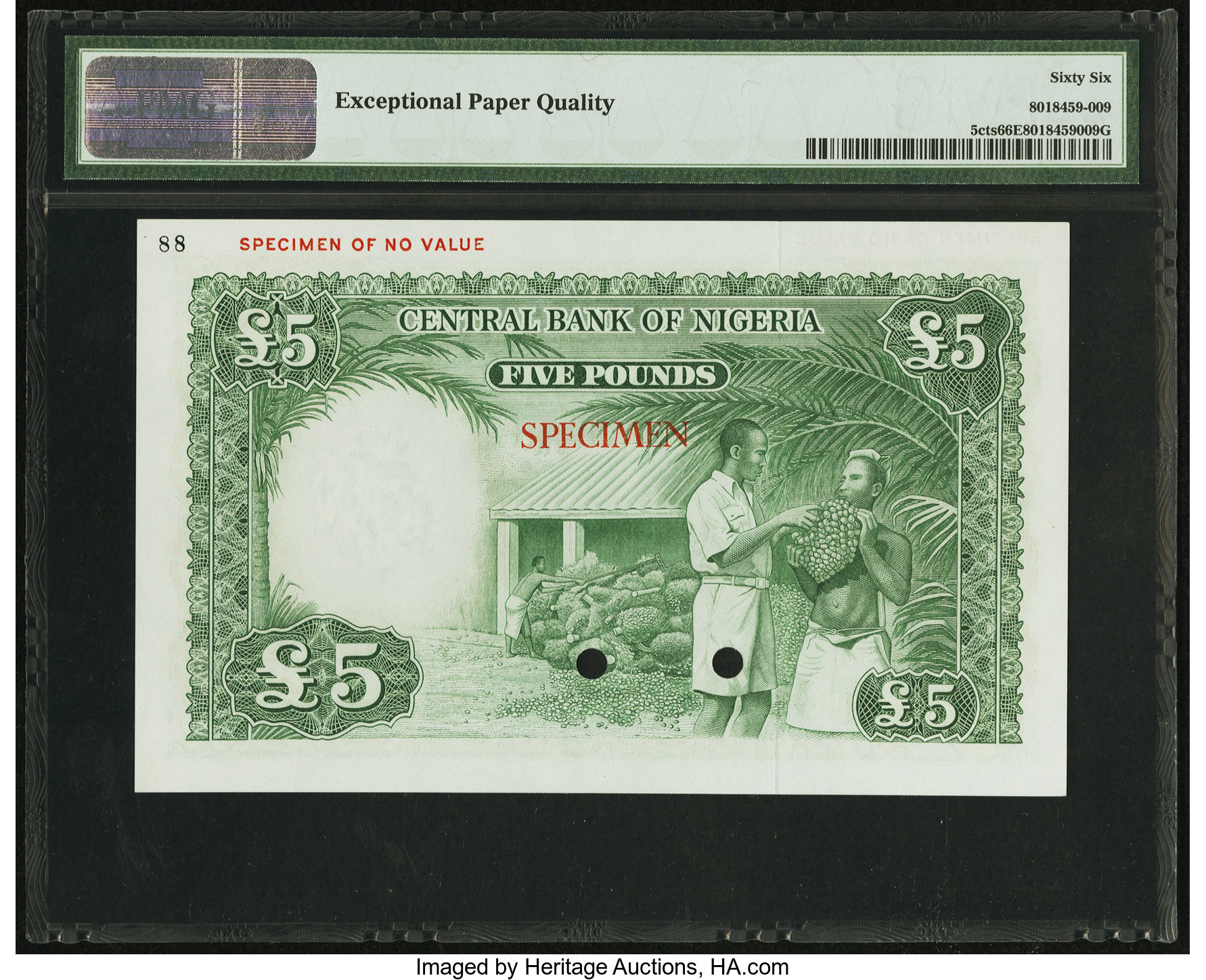 image for: Nigeria  5 pounds (B204as3)