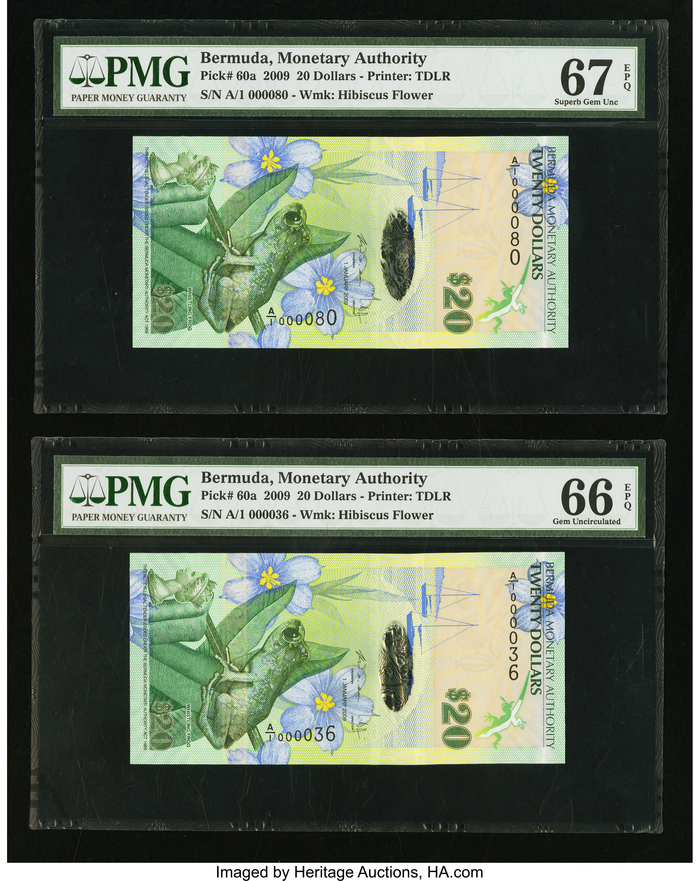image for: Bermuda  20 dollars (B233z)