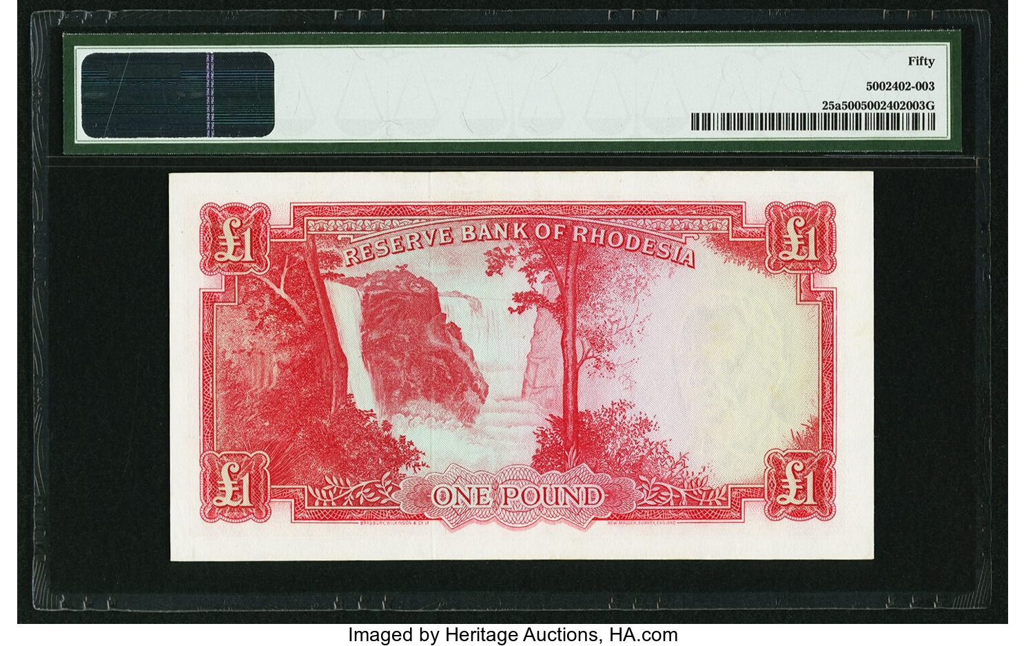 image for: Rhodesia  1 pound(B102a)