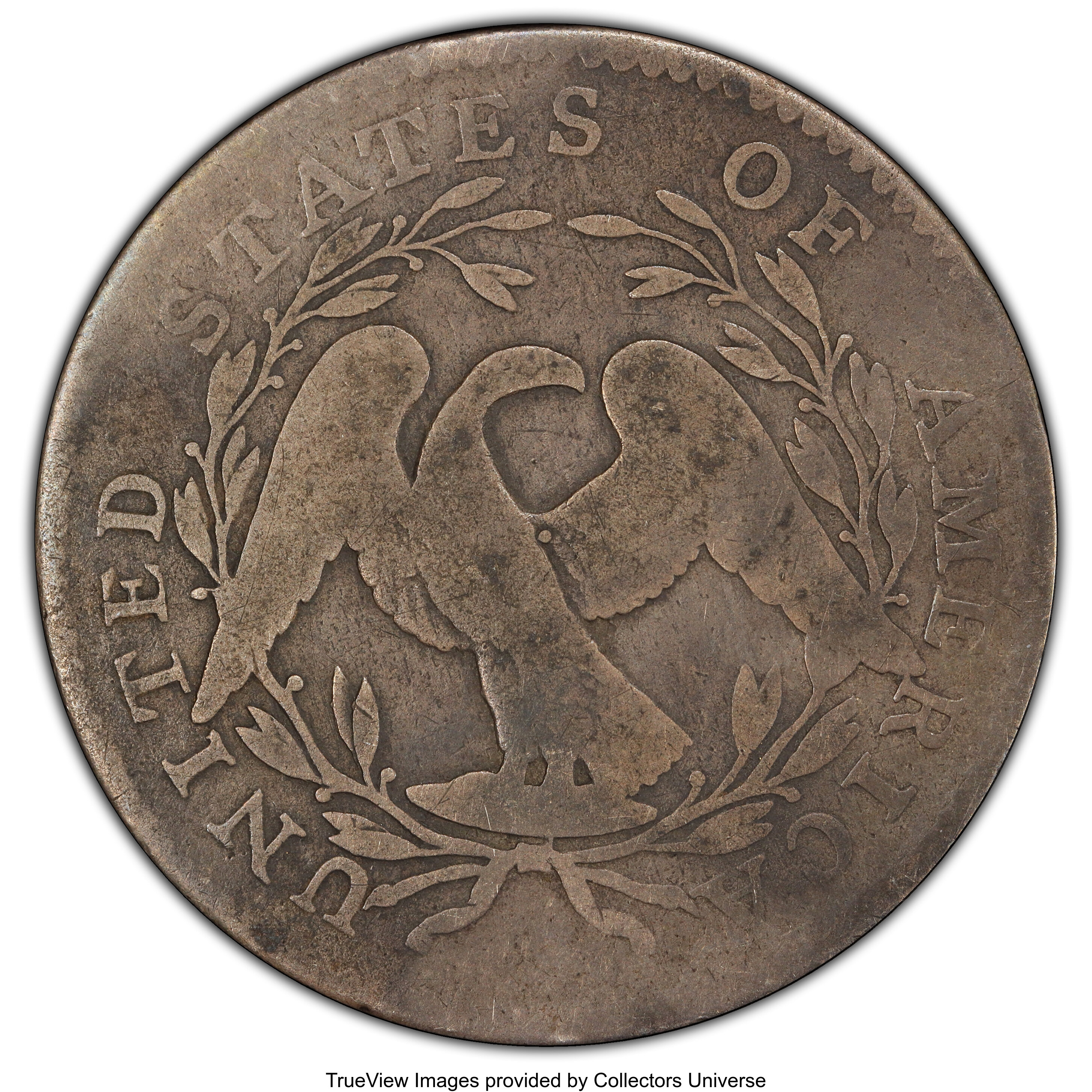 image for: 1795 50C 2 Leaves, O-104, T-24, Low R.4, VG8 PCGS. CAC. PCGS Population: (2/6 and 0/1+). NGC Census: (4/19 and 0/0+). CDN: ...