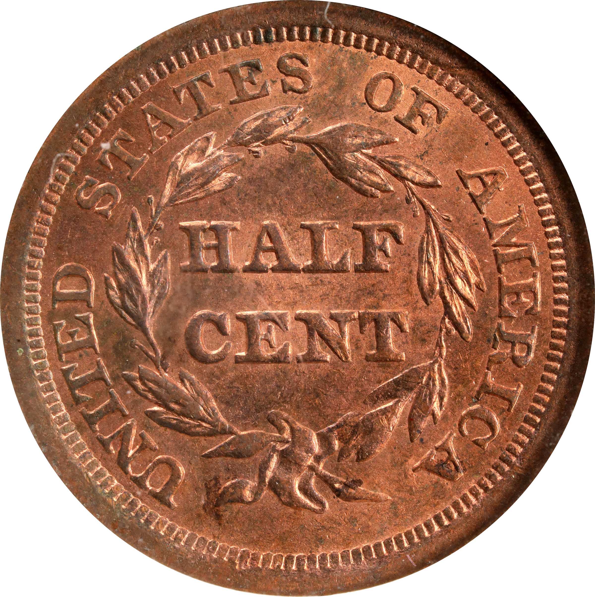 image for: 1857 Braided Hair Half Cent. C-1, the only known dies. Rarity-2. MS-64 RD (NGC).