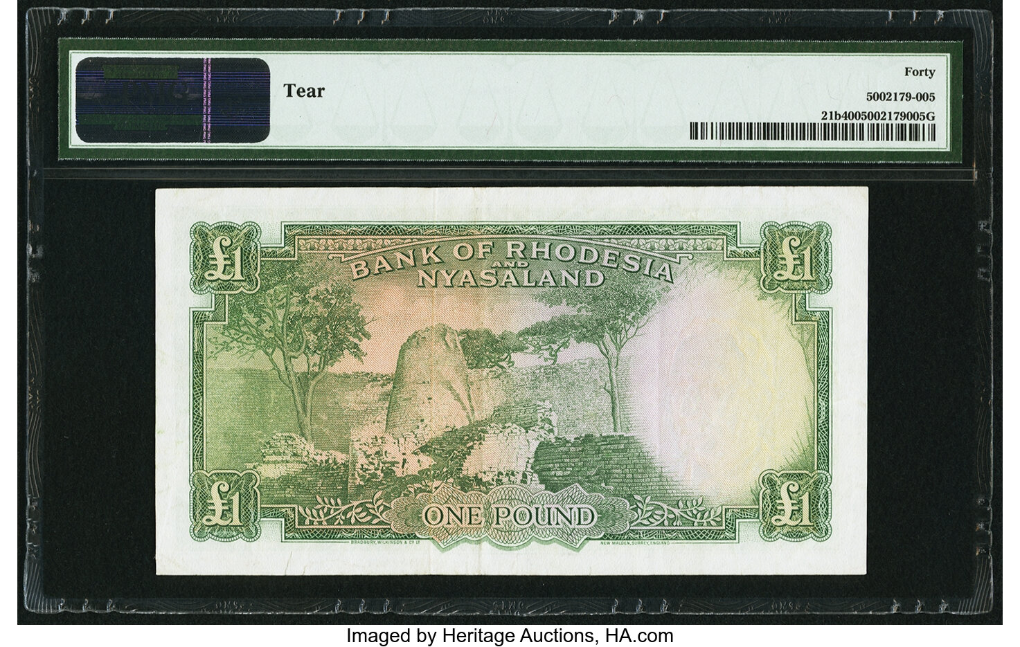 image for: Rhodesia and Nyasaland  1 pound(B102b80s)