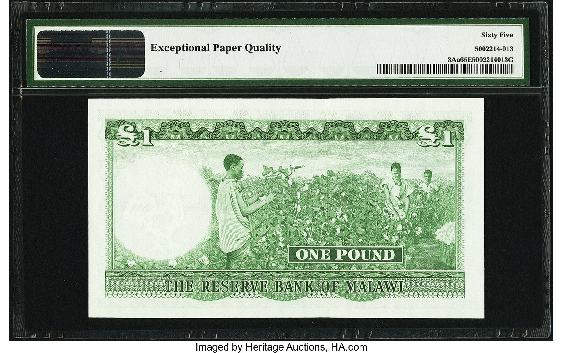 image for: Malawi  1 pound(B103as1)