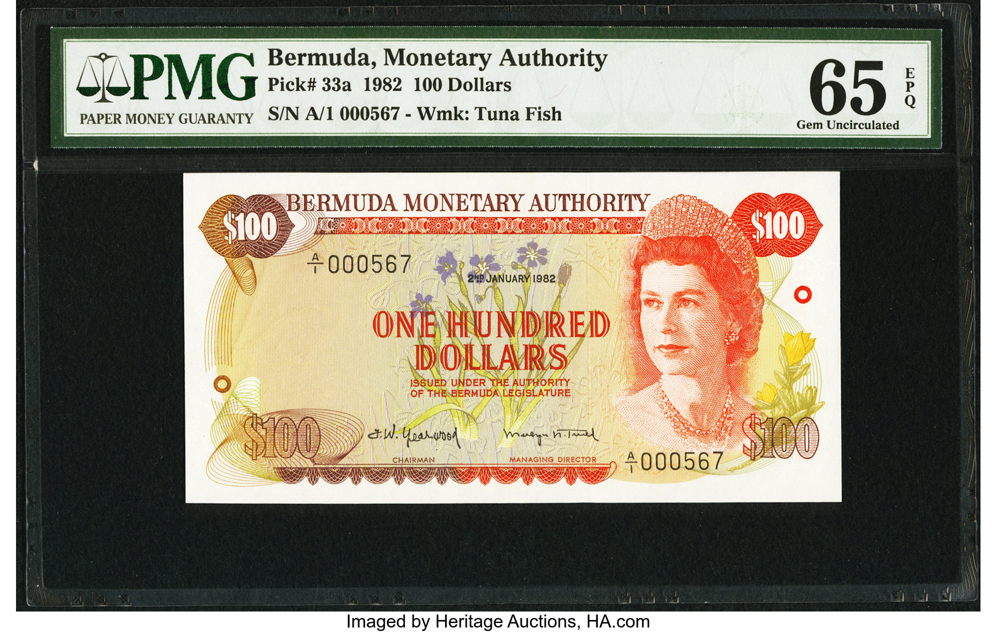 image for: Bermuda  100 dollars (B206cz)