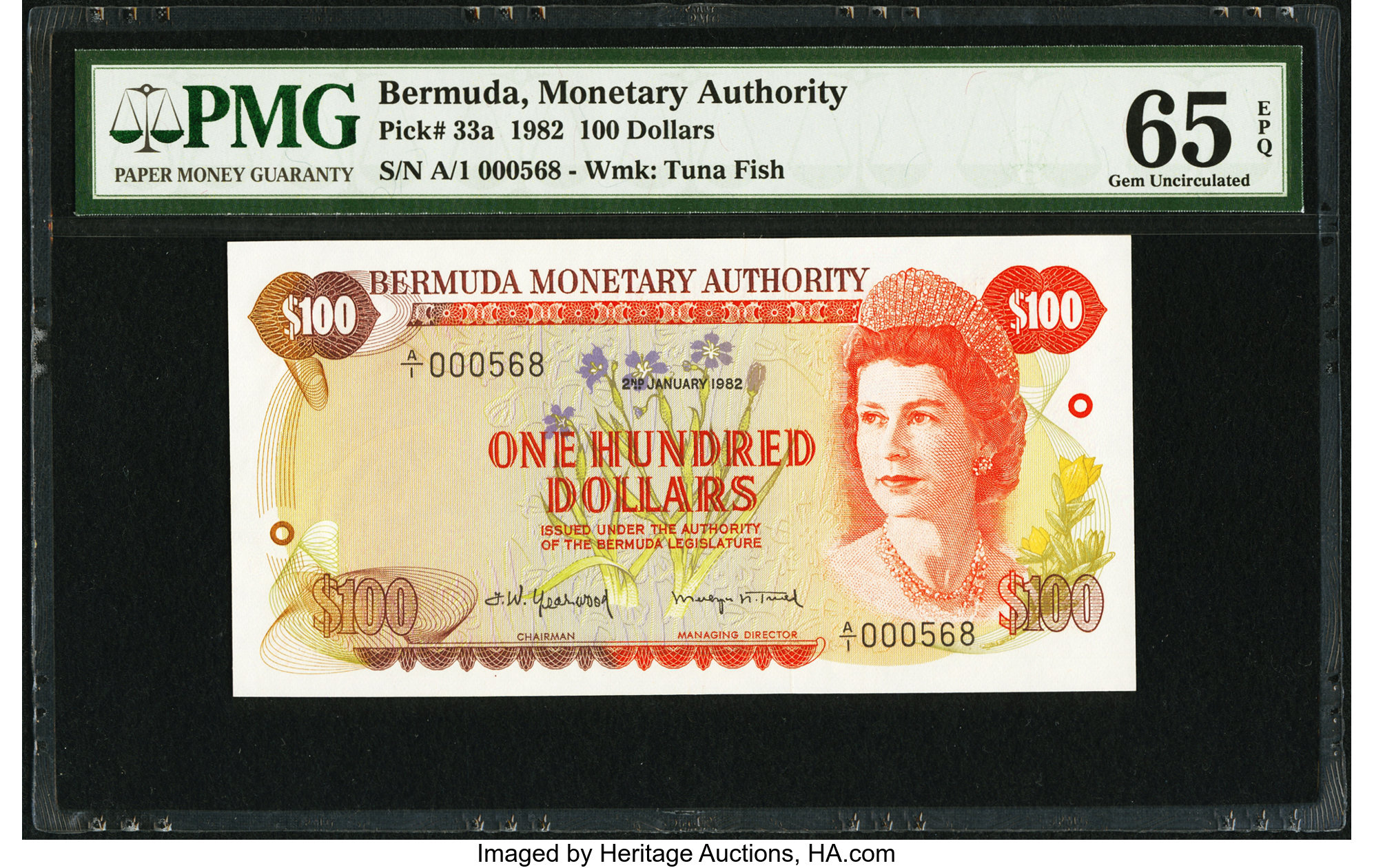image for: Bermuda  100 dollars (B206az)