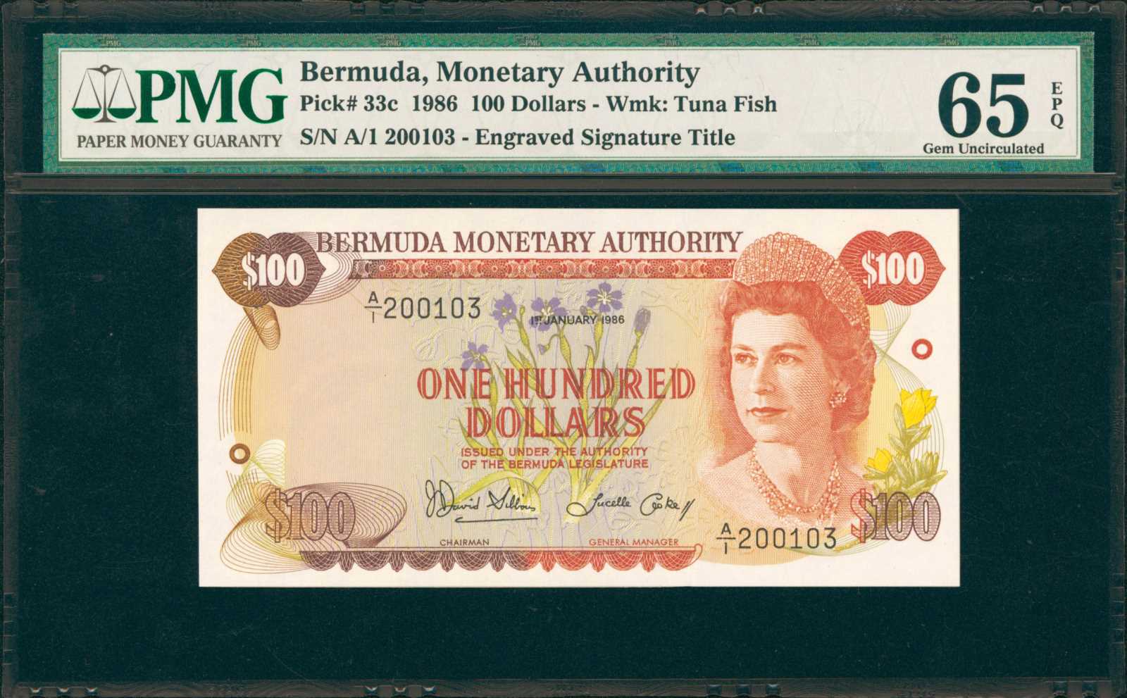 image for: Bermuda  100 dollars (B206as2)