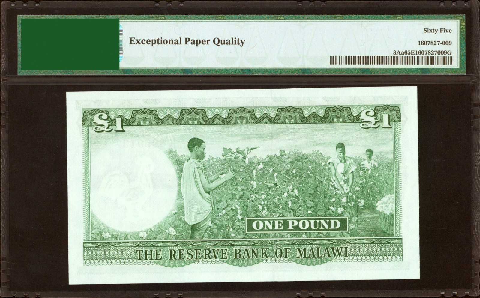 image for: Malawi  1 pound(B103as2)