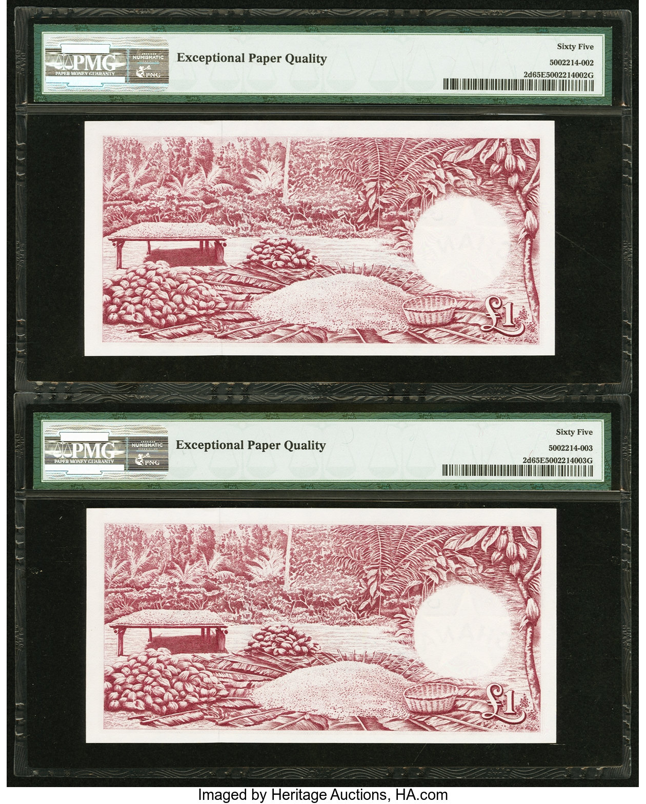 image for: Ghana  1 pound (B102a)