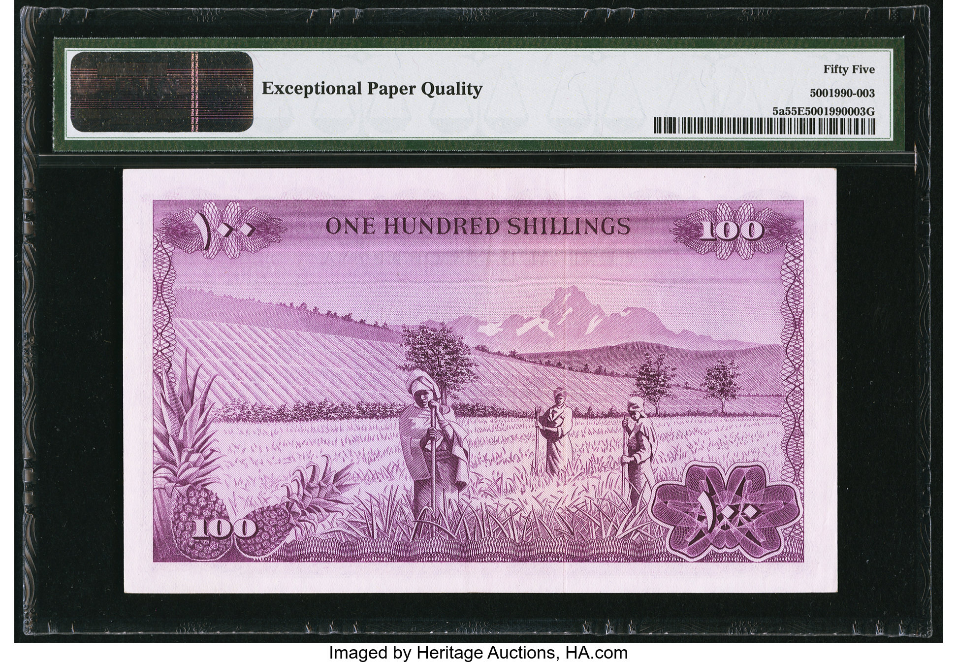 image for: Kenya  100 shillings (B105p)