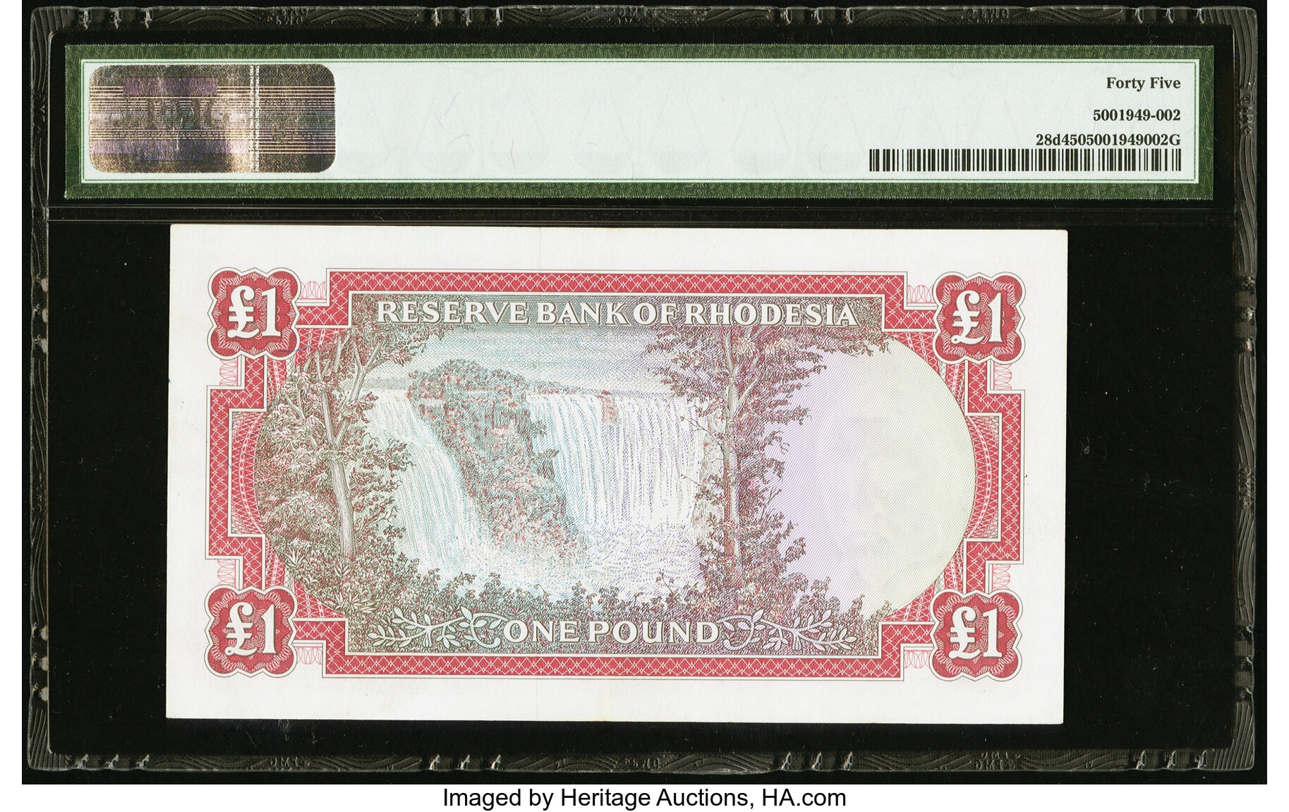 image for: Rhodesia  1 pound(B105b)