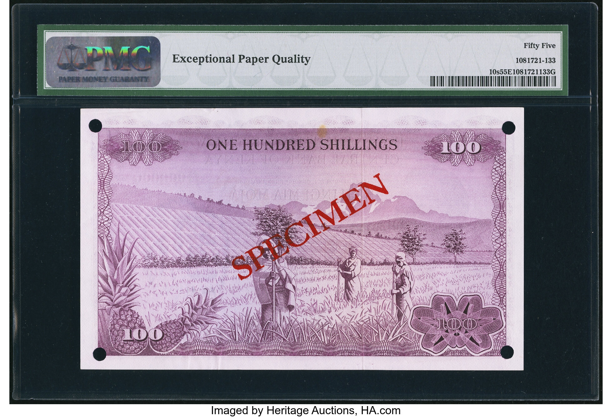 image for: Kenya  100 shillings (B110s)