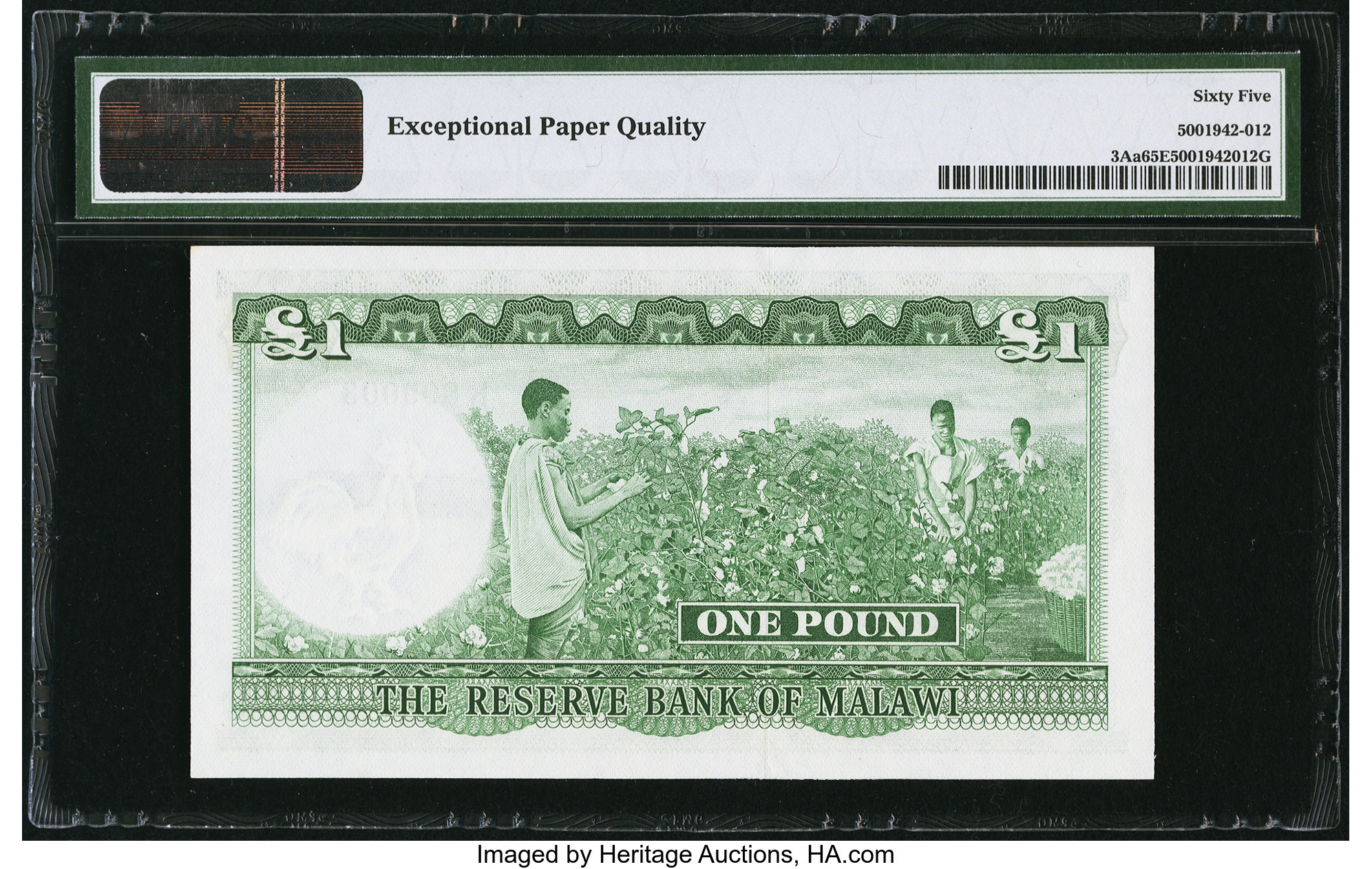 image for: Malawi  1 pound(B103at)