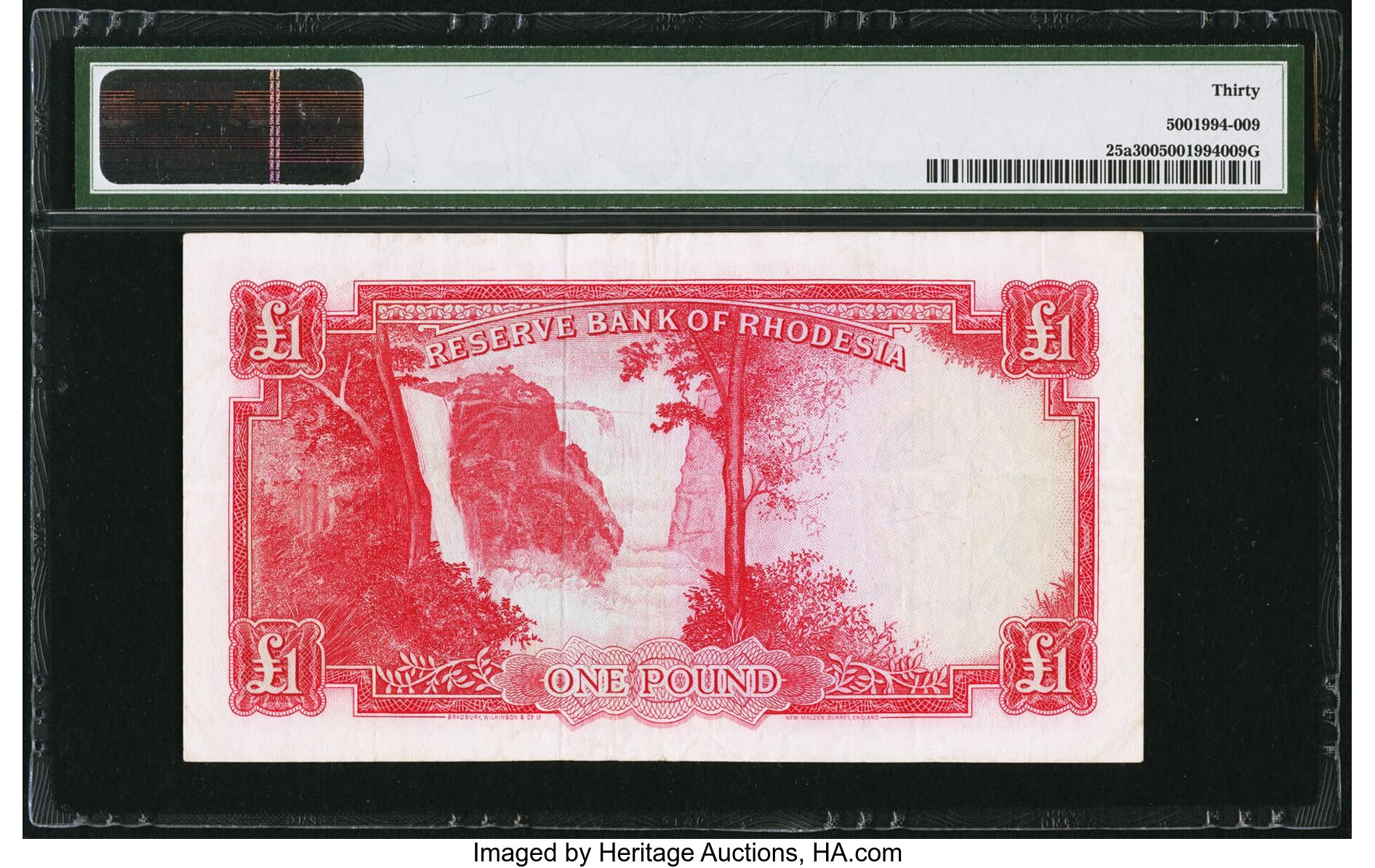 image for: Rhodesia  1 pound(B102gs)