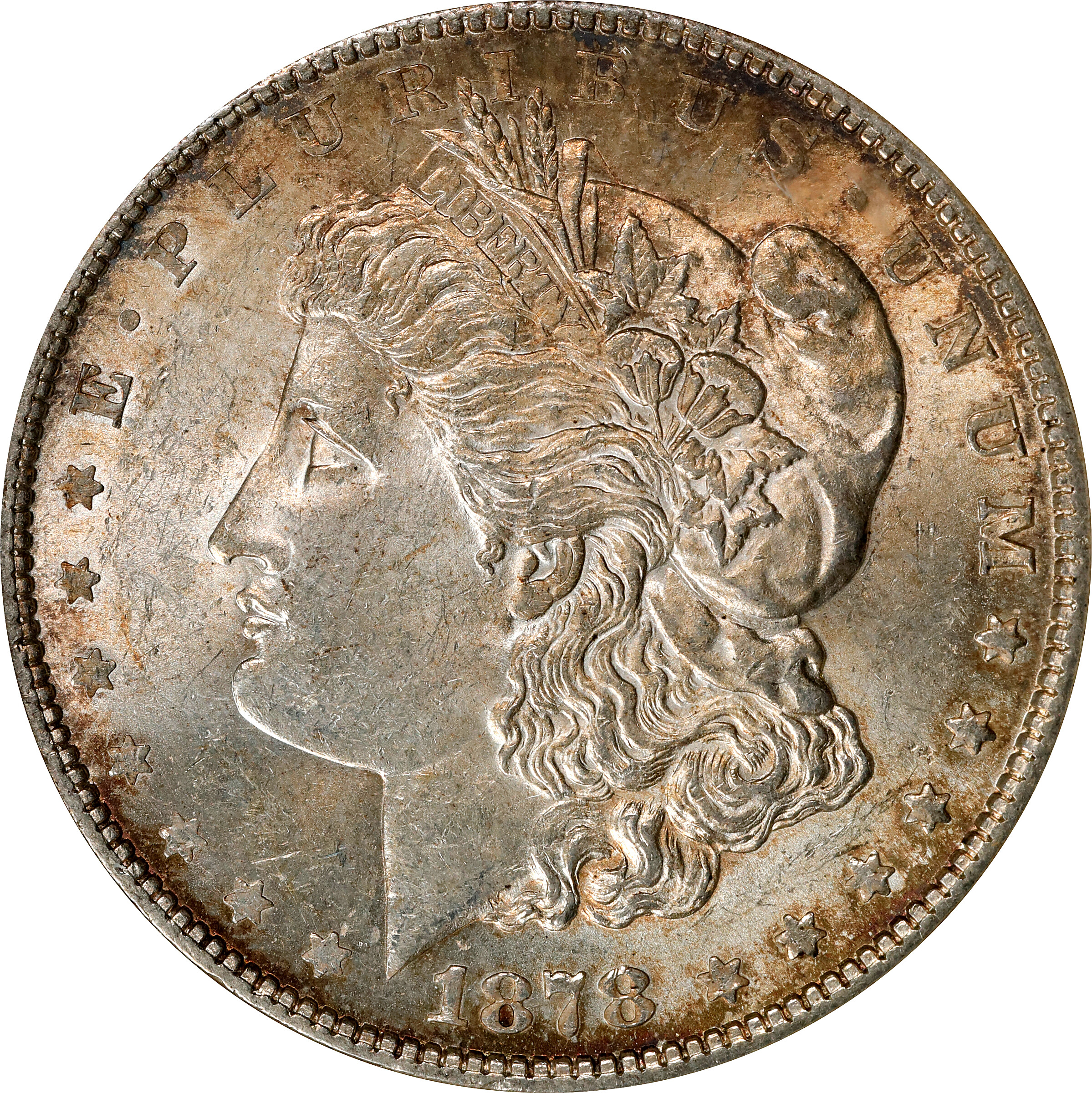 1878 Morgan Silver Dollar. 7 Tailfeathers. Reverse of 1879. VAM-223. Top 100 Variety. Washed Out L. MS-61 (ANACS). OH.